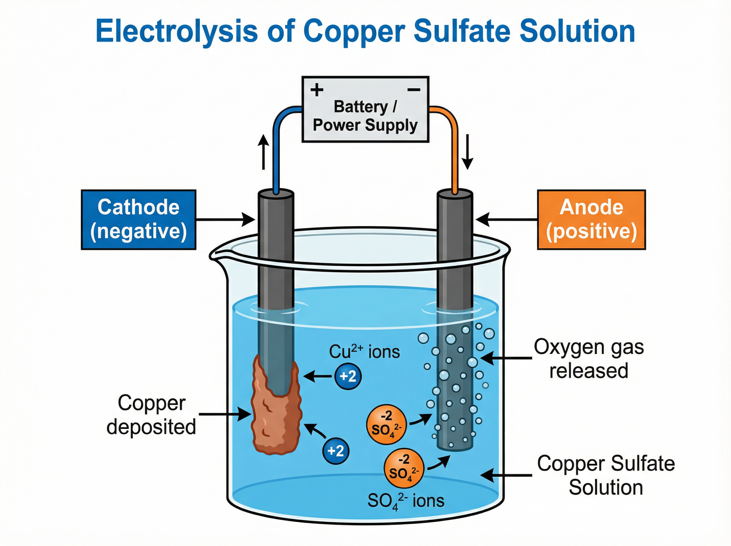 Electrolysis of Copper Sulfate Solution
