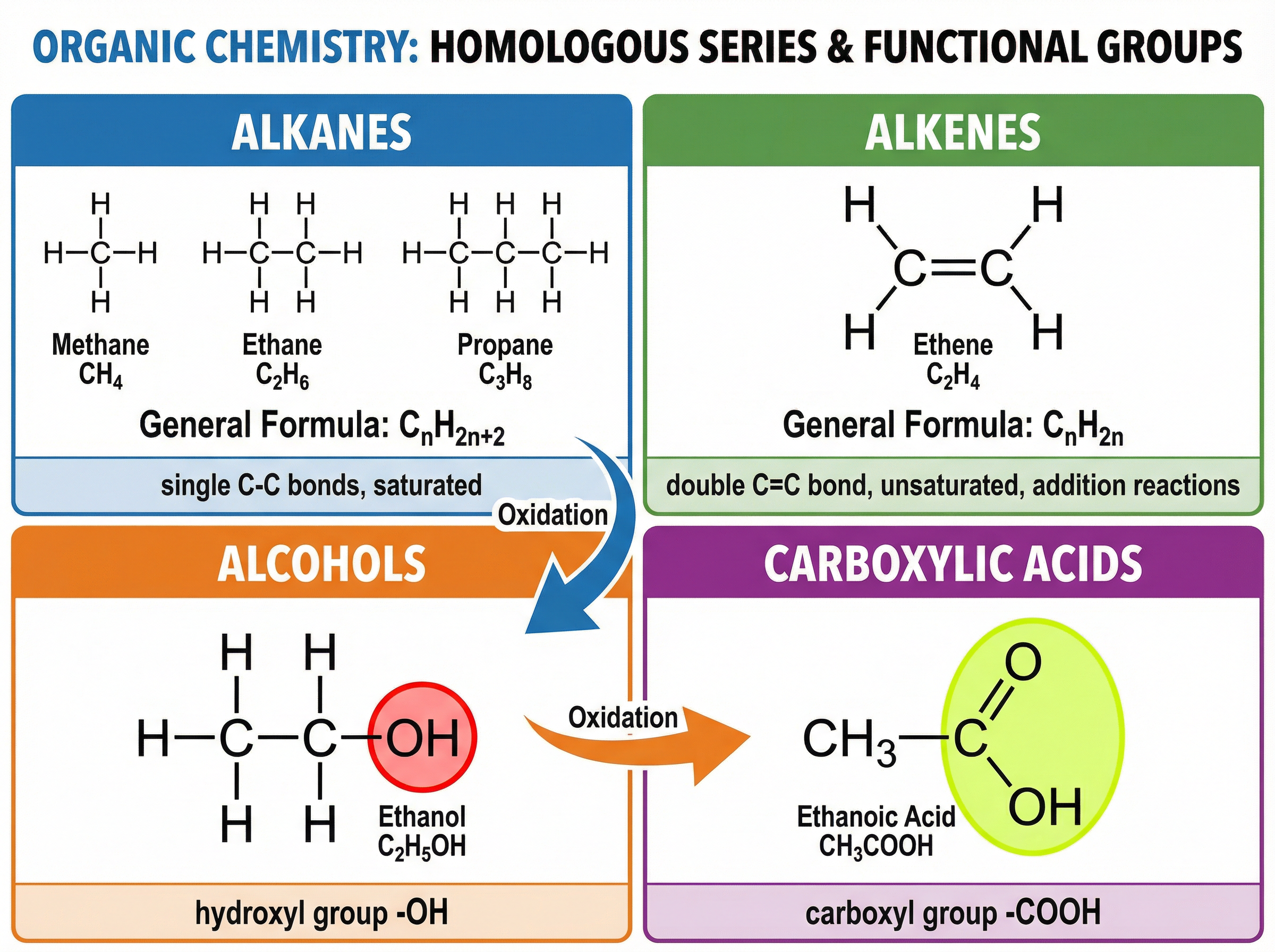 Organic Chemistry: Homologous Series & Functional Groups