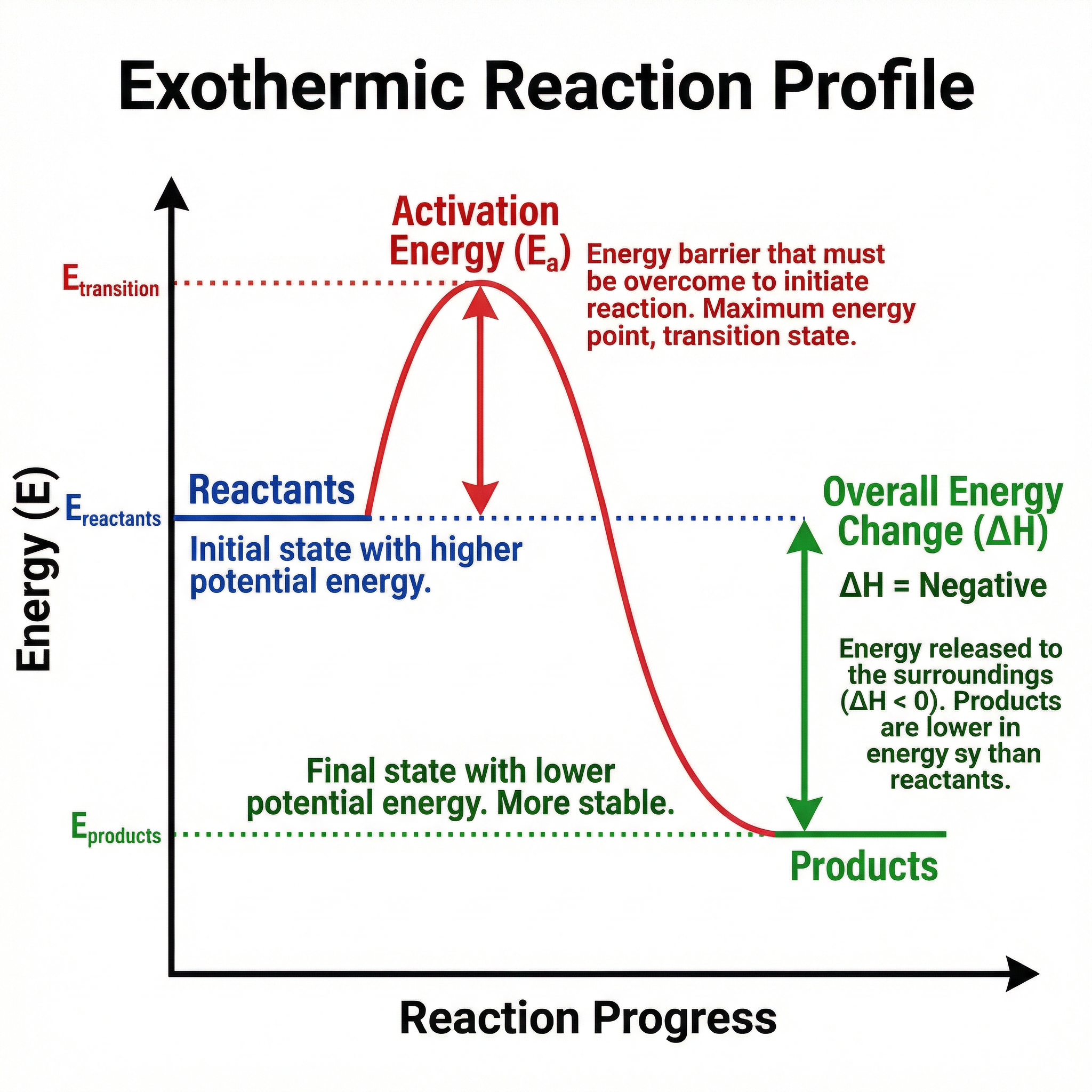 Reaction profile diagram for an exothermic reaction