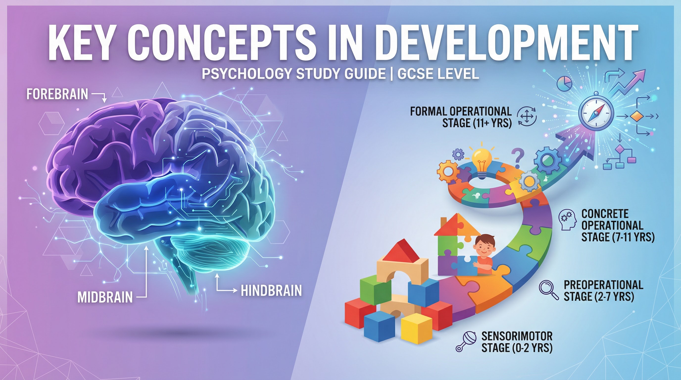 Header image for Key Concepts in Development