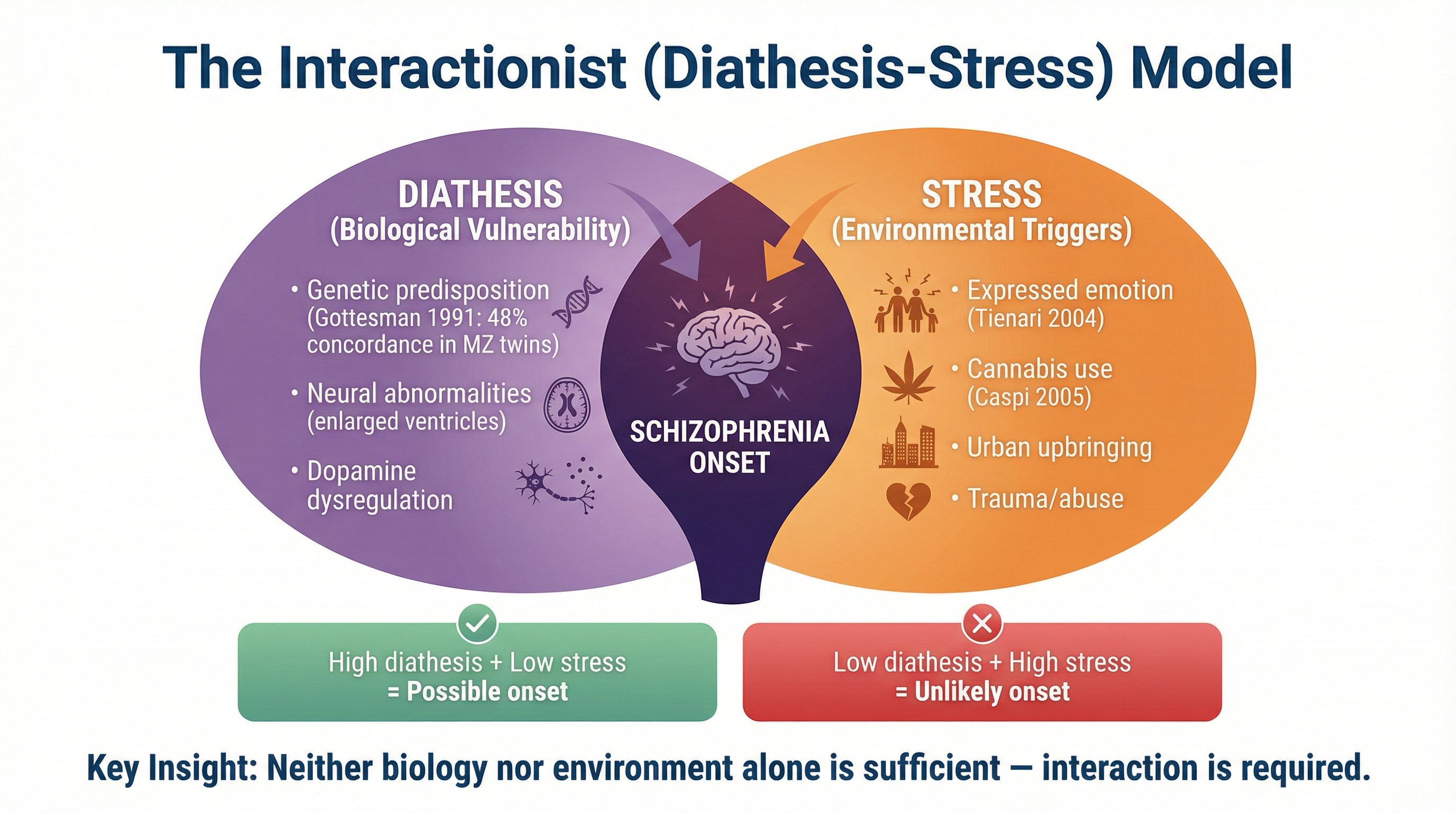 The Interactionist (Diathesis-Stress) Model