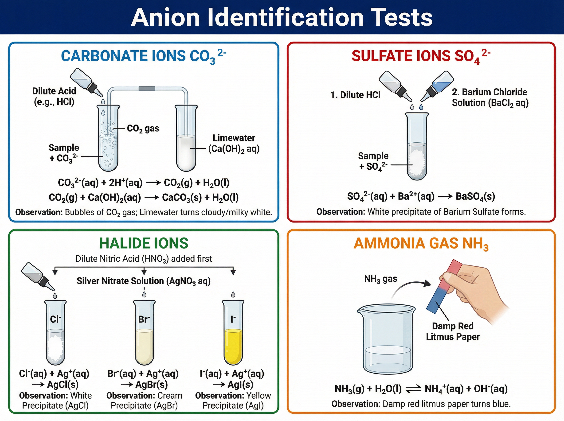 Anion Identification Tests