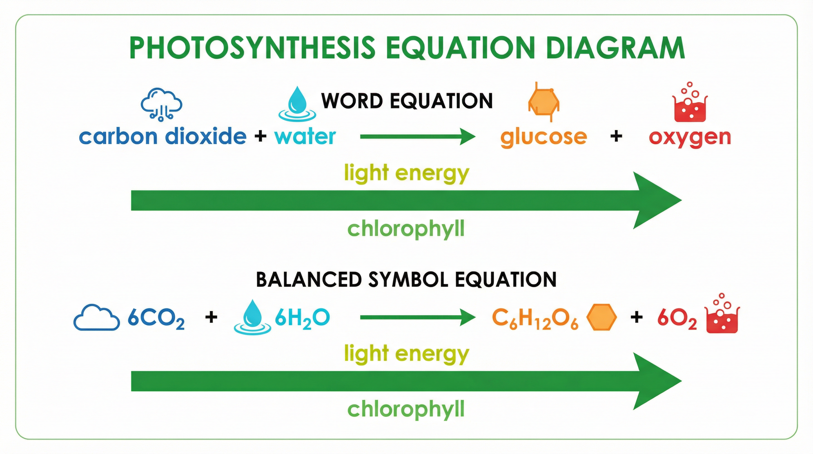 The word and balanced symbol equations for photosynthesis.