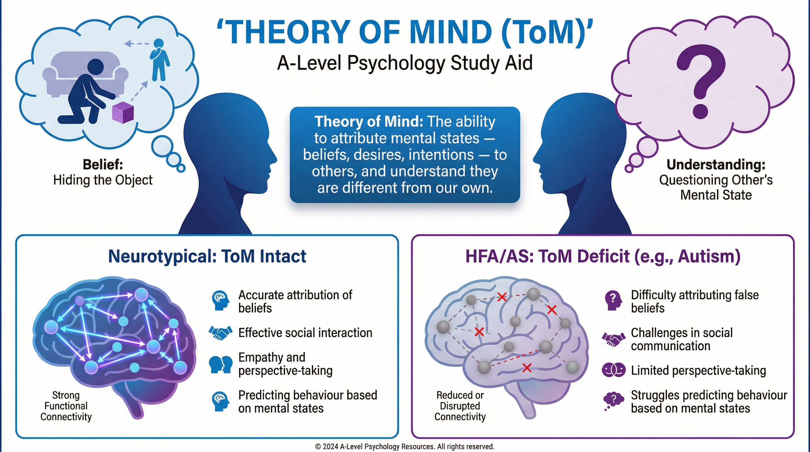 Explaining the concept of Theory of Mind (ToM)