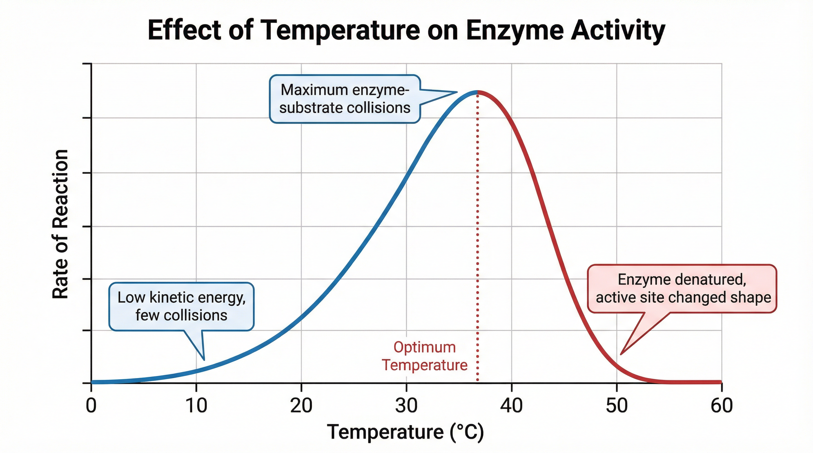 temperature_effect_graph.png