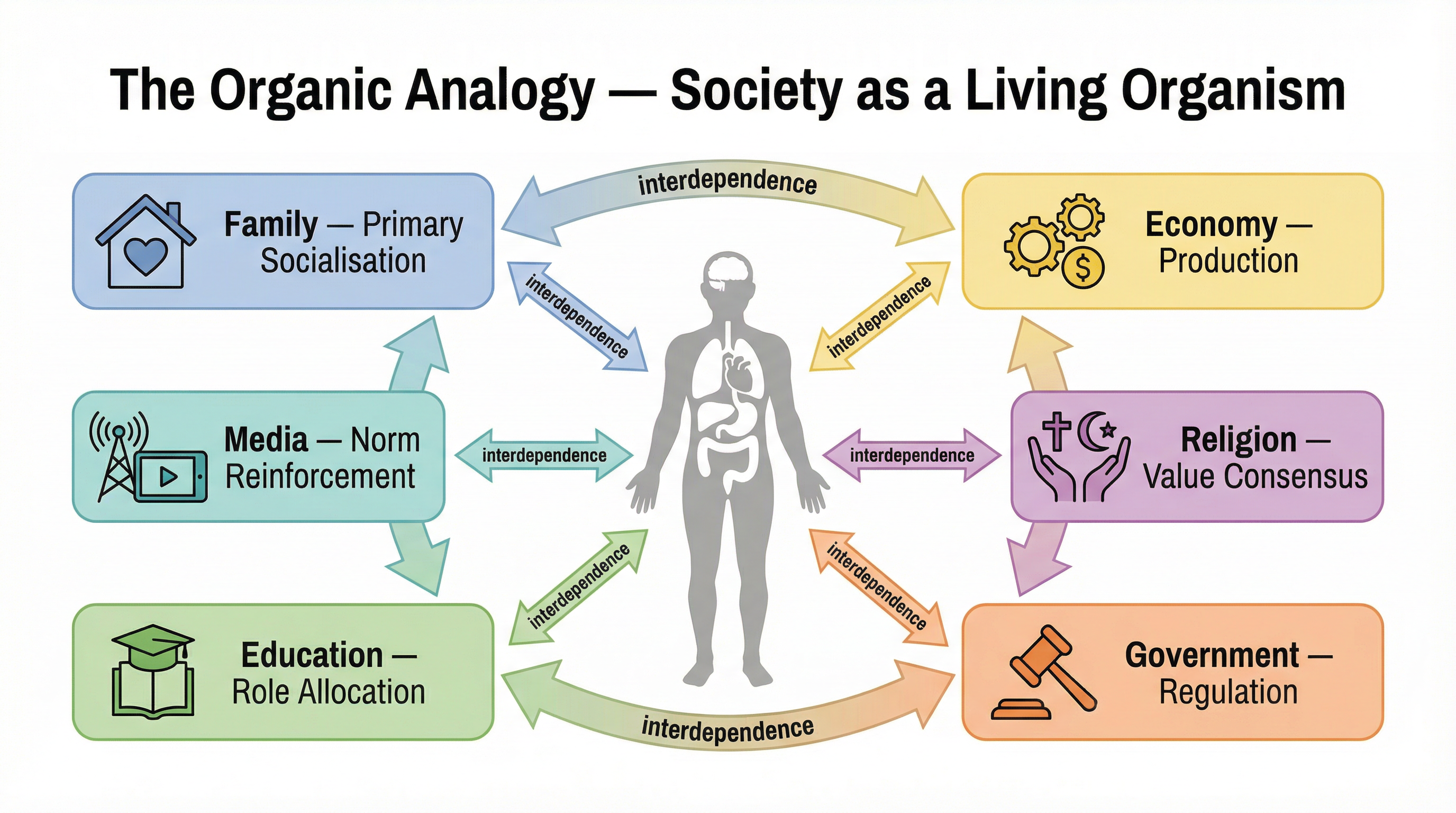 The Organic Analogy: Society as a Living Organism