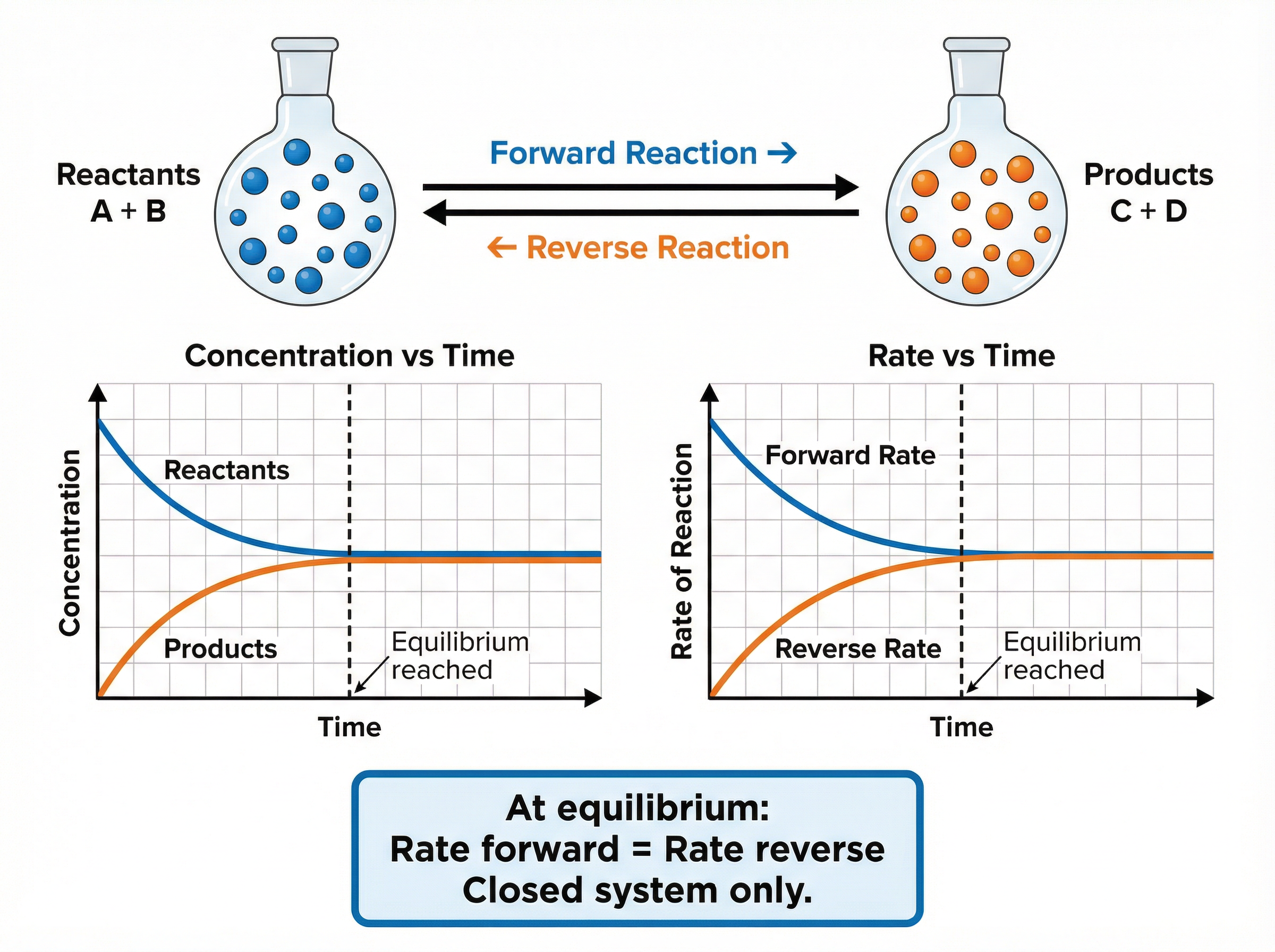 Dynamic Equilibrium in a Closed System