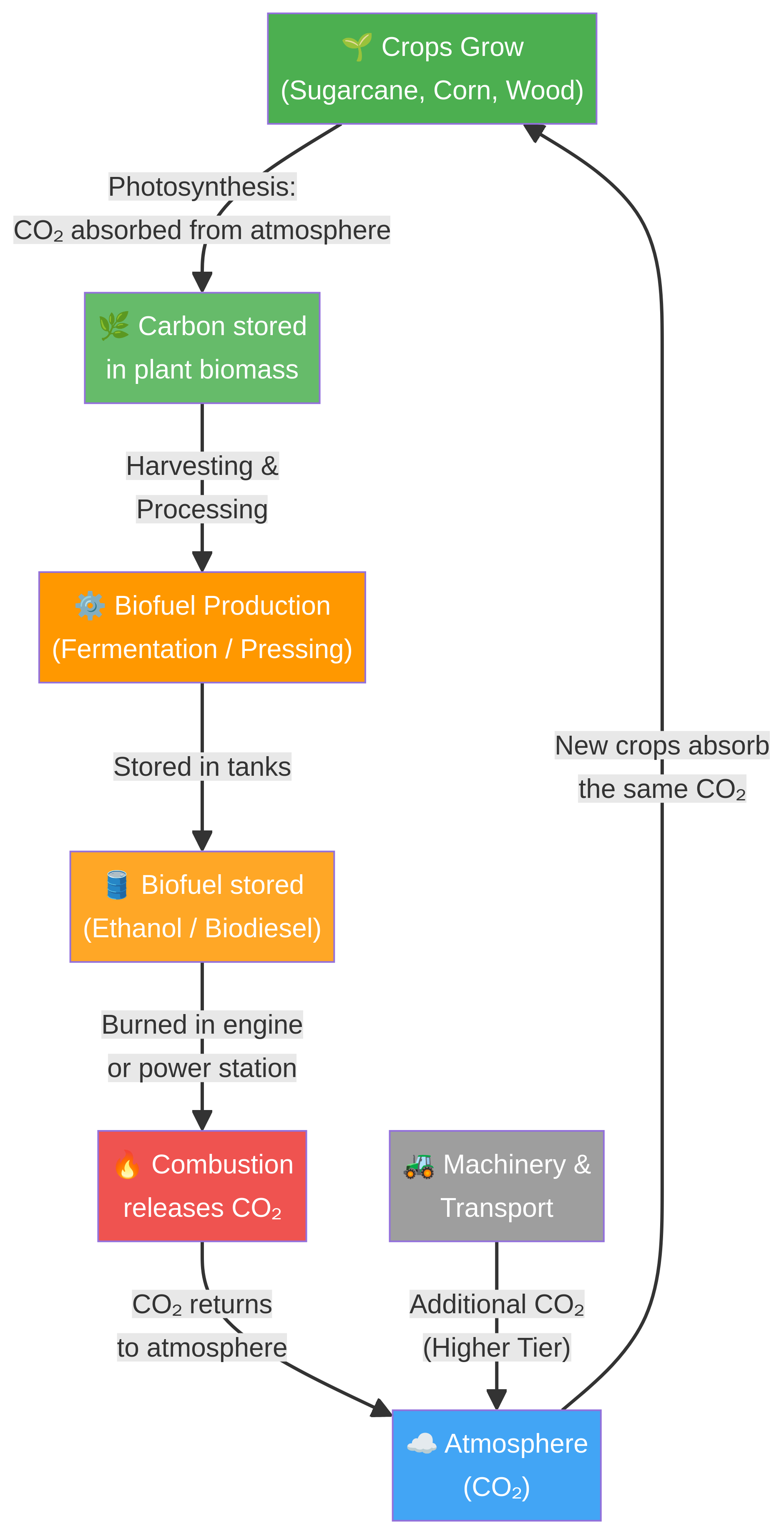 Process flow for biofuel production and the carbon cycle.