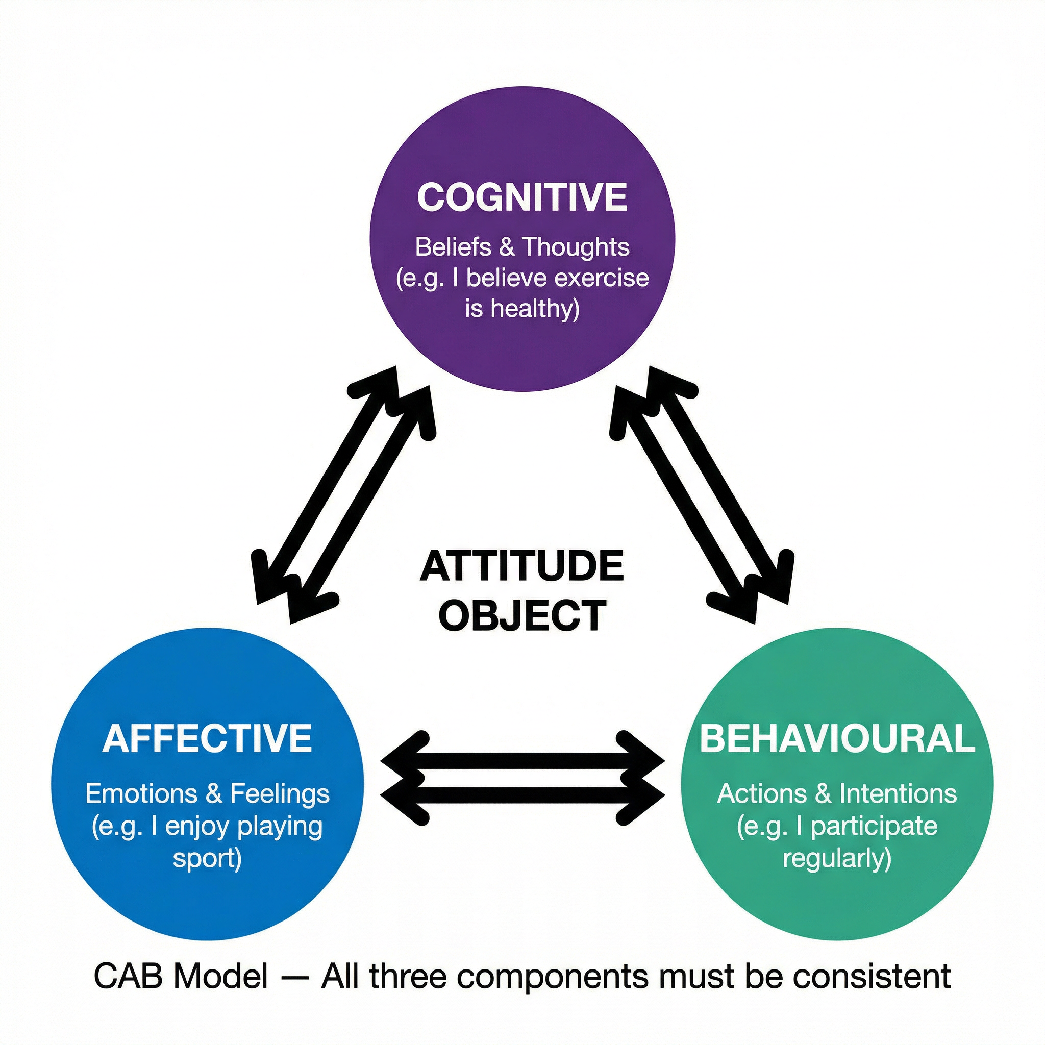 The Triadic (CAB) Model of Attitudes.