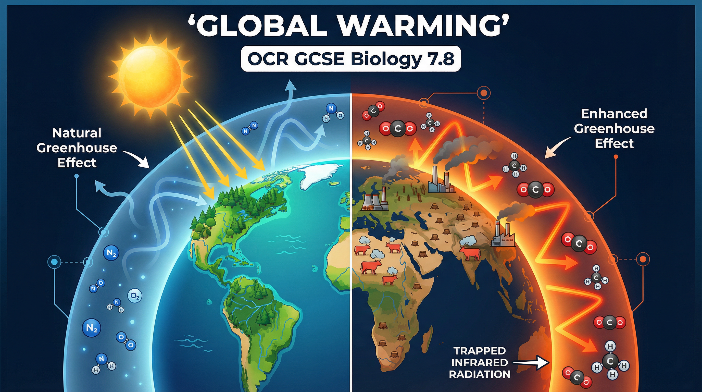 Header image for Global Warming (OCR GCSE Biology 7.8)