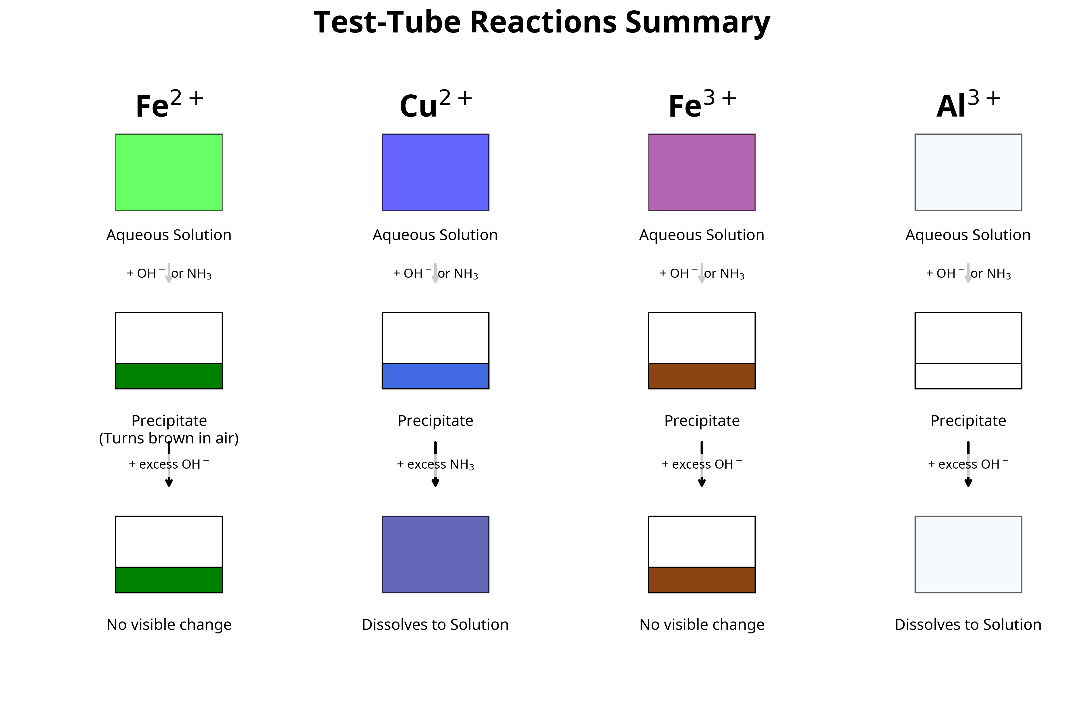 Test-tube reaction observations required for ion identification.