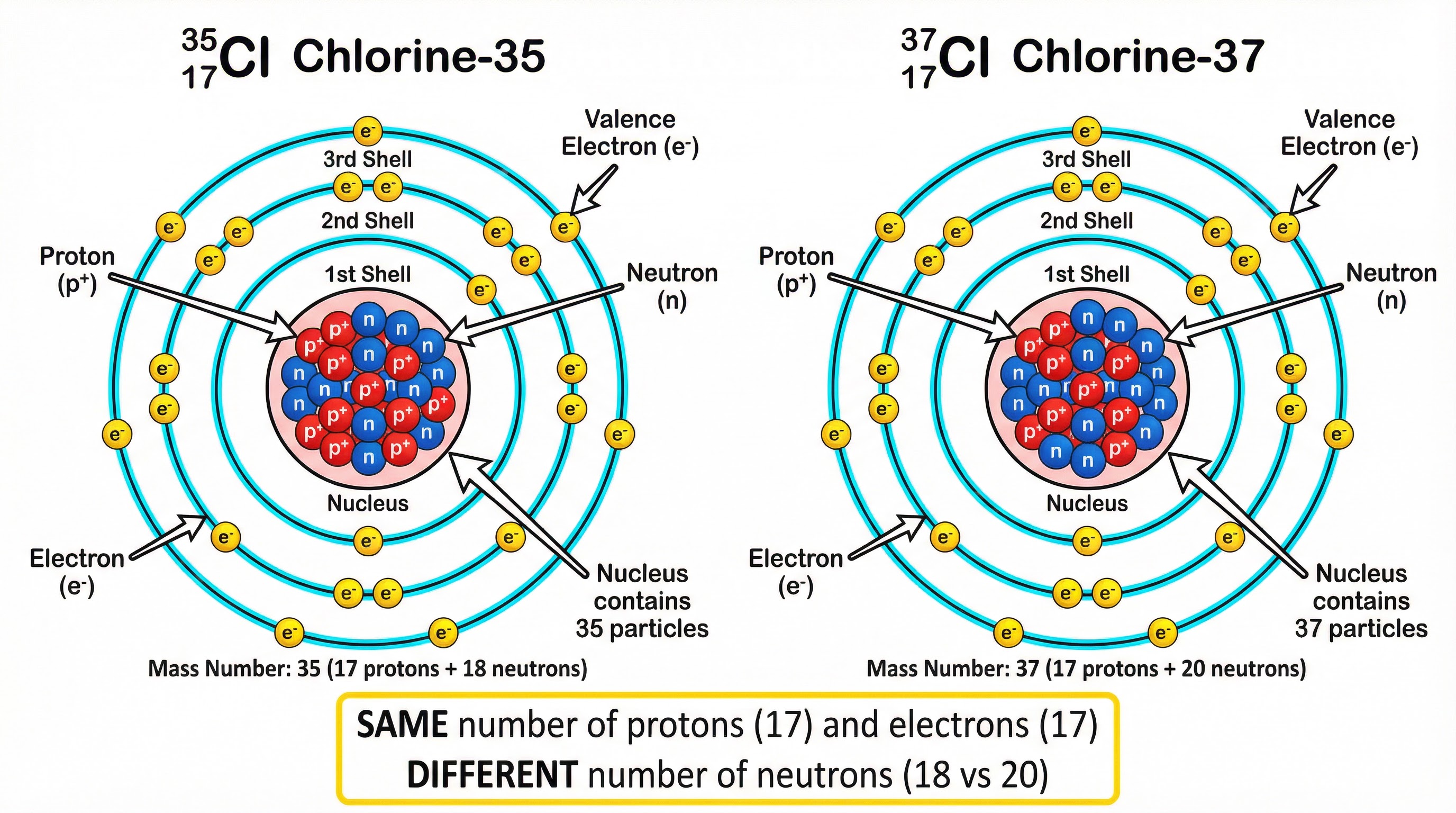 A comparison of the subatomic particles in two isotopes of Chlorine.