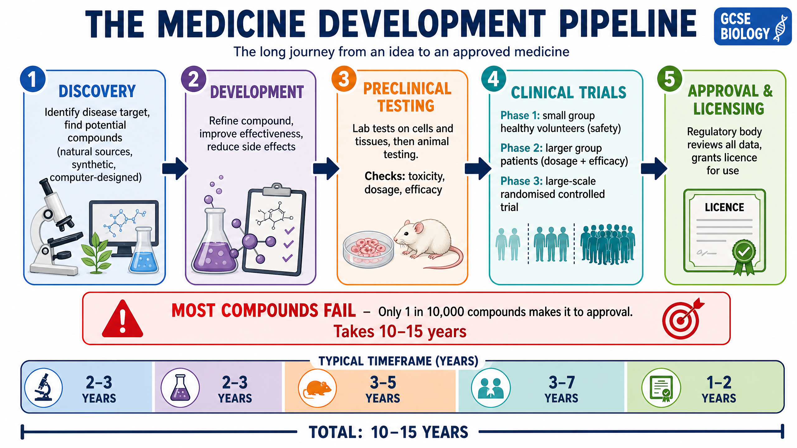 The Medicine Development Pipeline