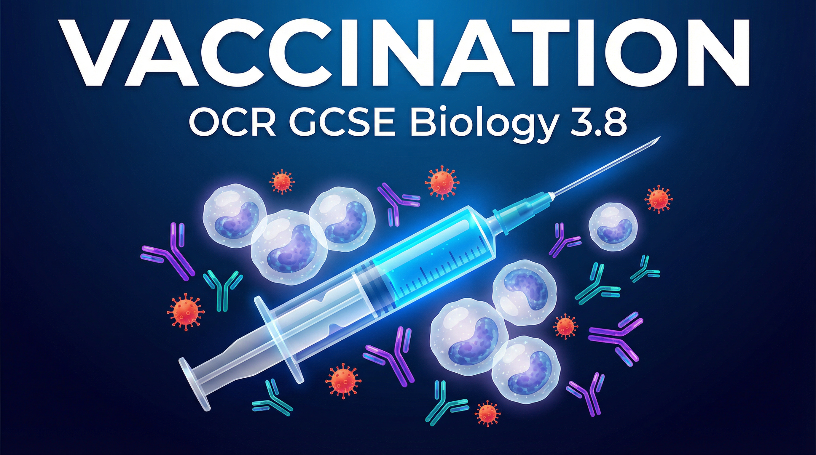 Header image for OCR GCSE Biology: Vaccination