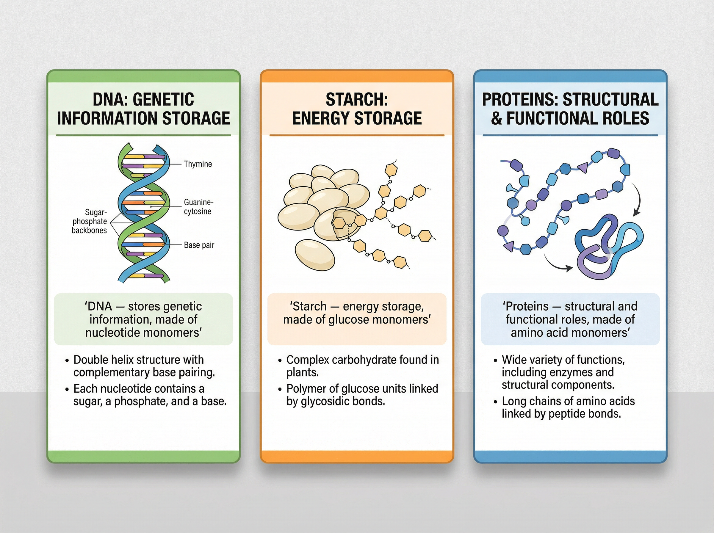Key Natural Polymers