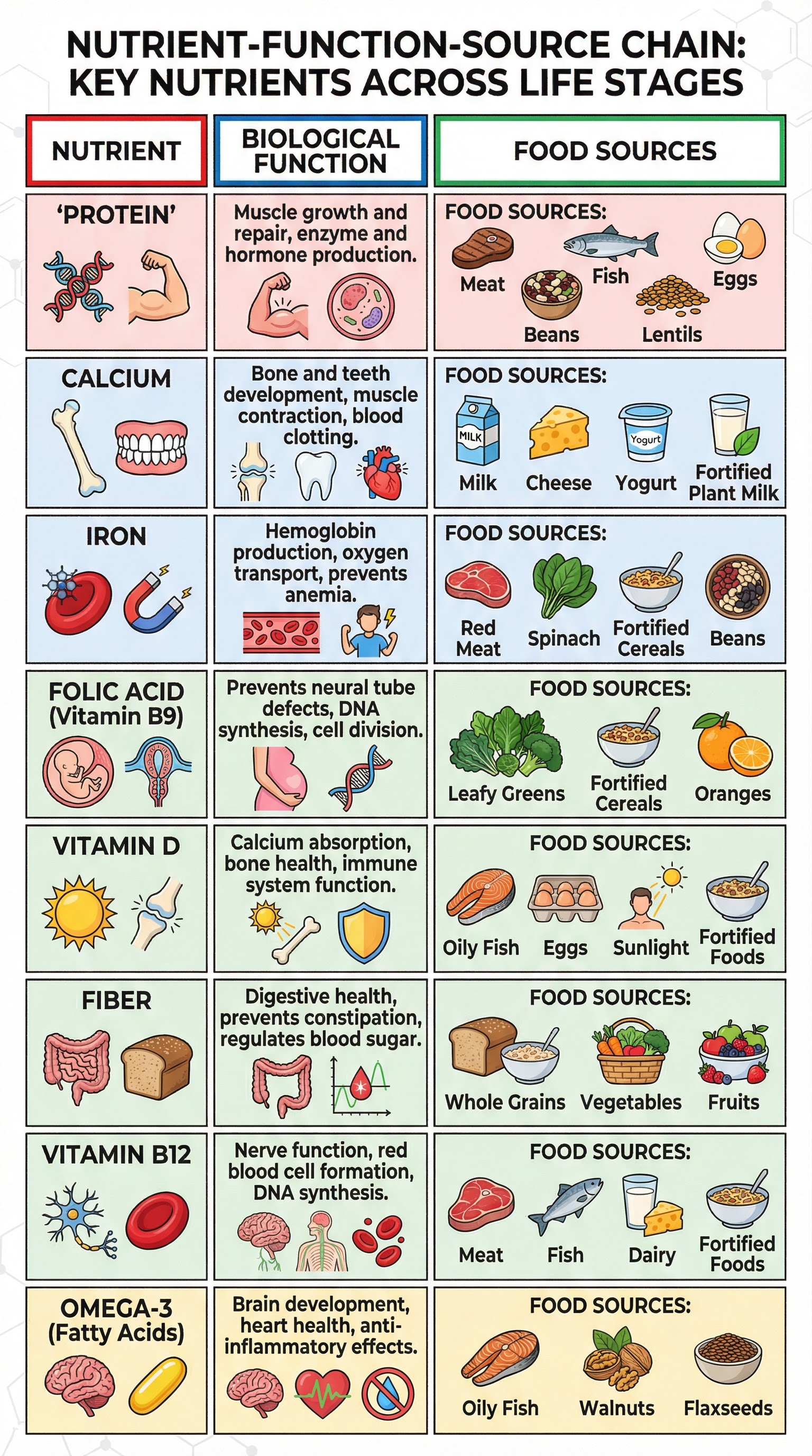 nutrient_function_chart.png