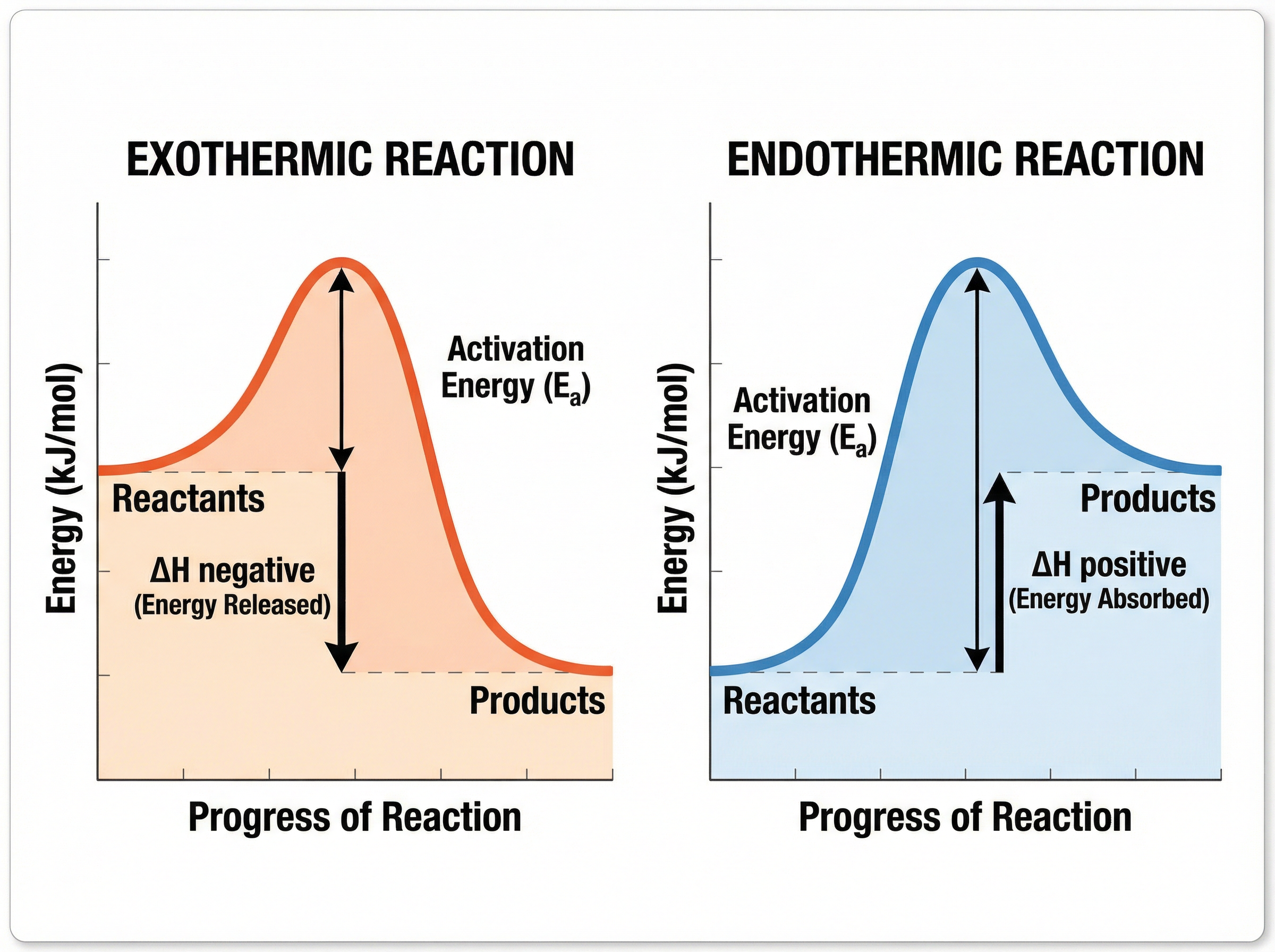 Reaction profiles for exothermic and endothermic reactions