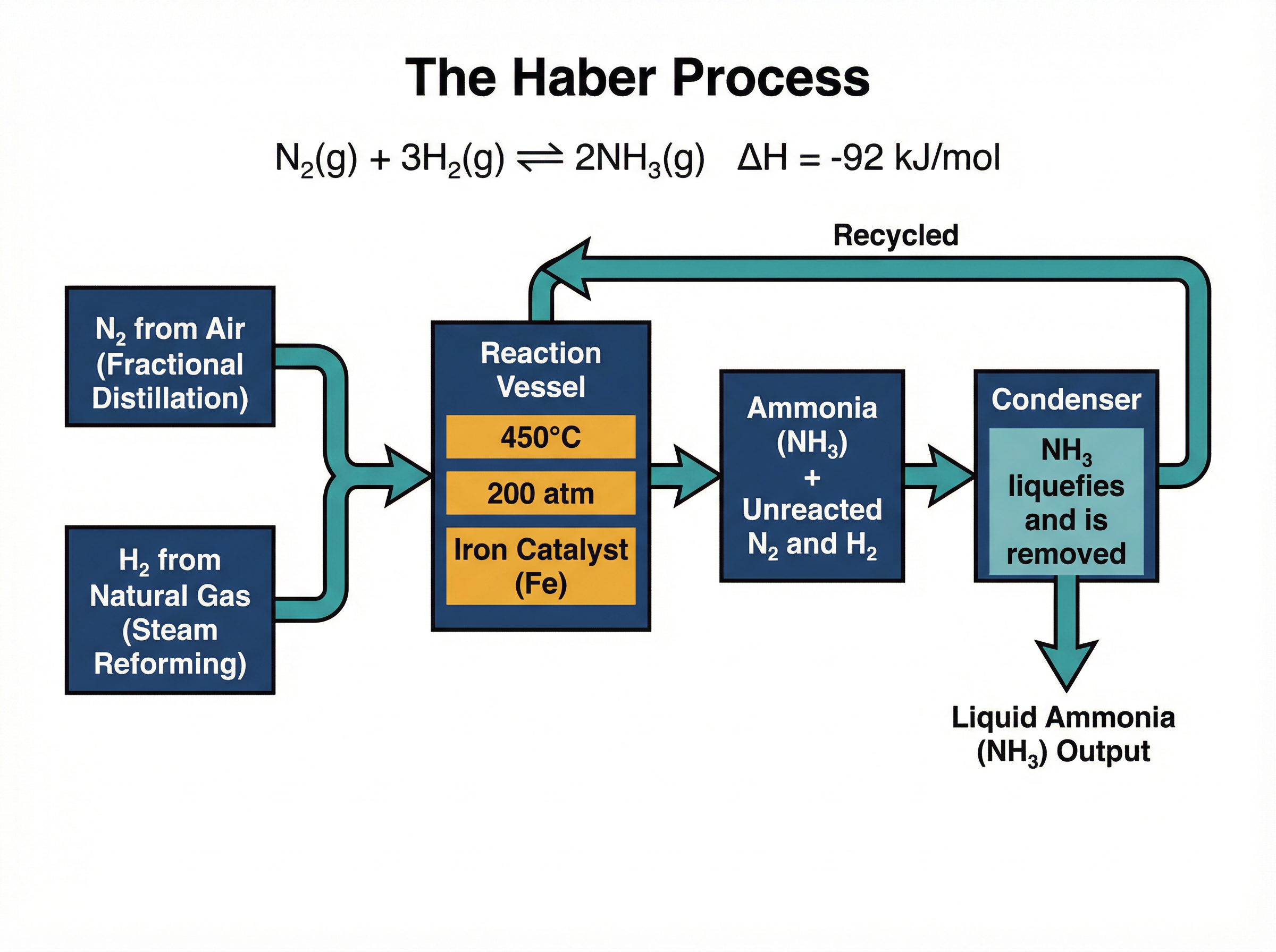 The Haber Process