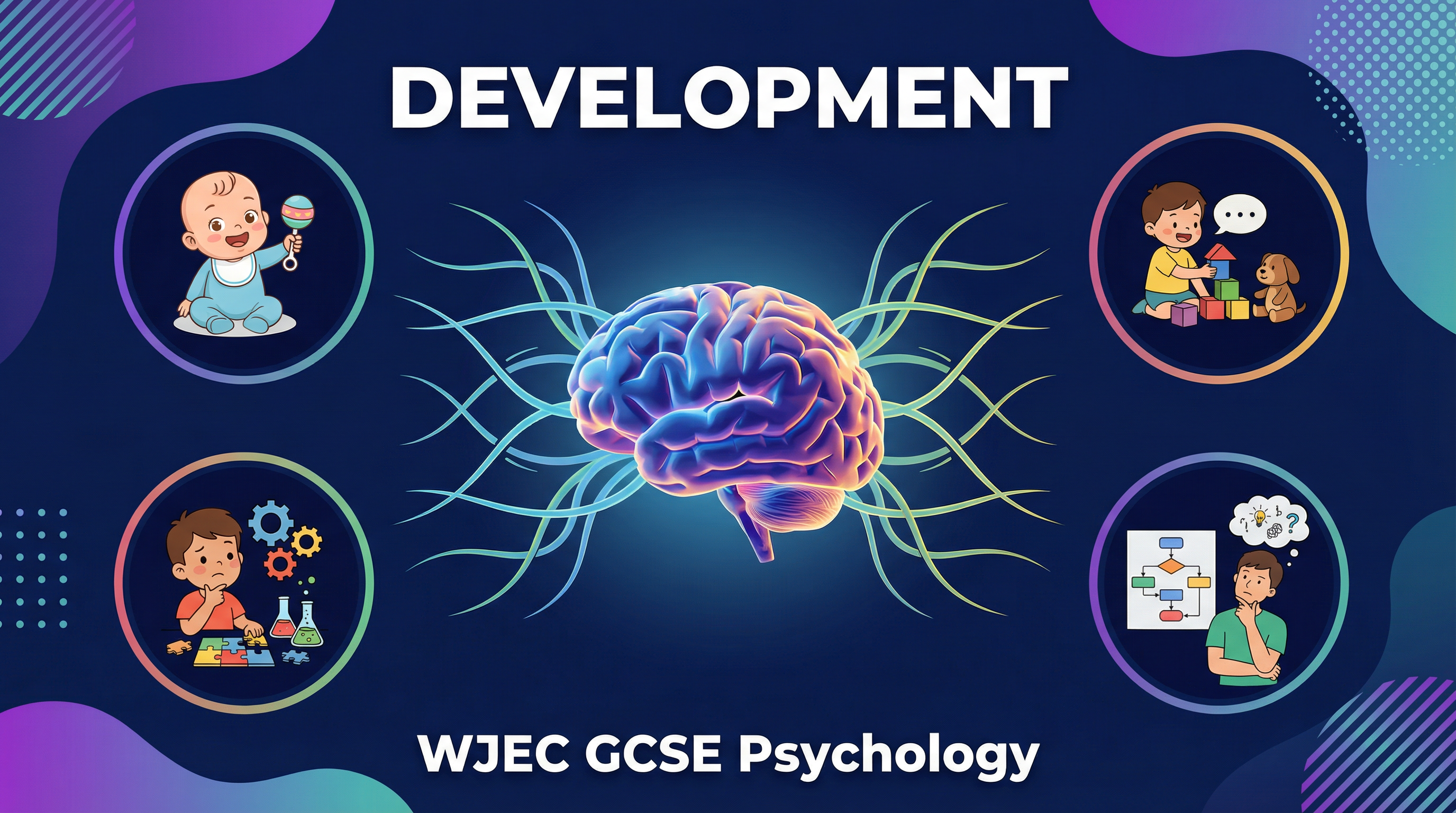 Header image for WJEC GCSE Psychology: Development