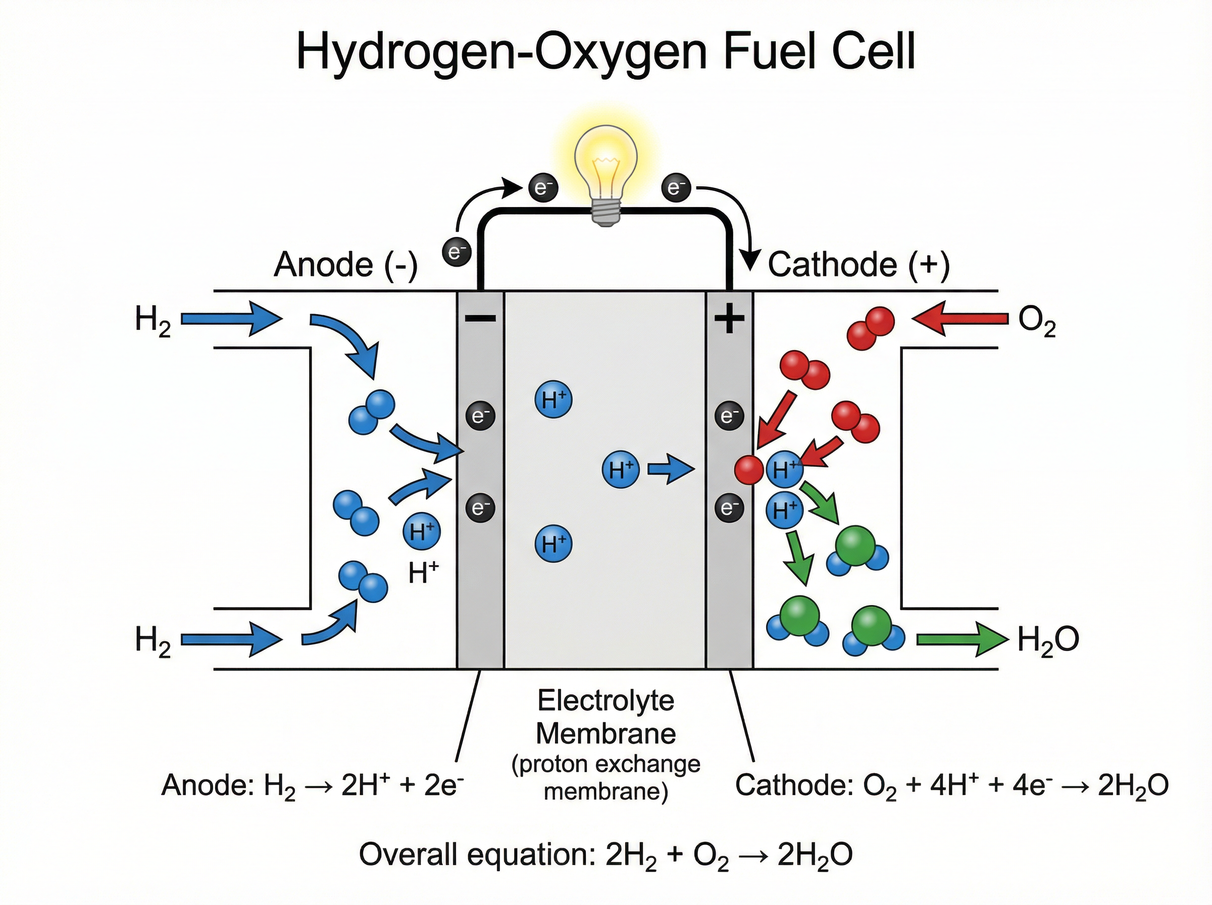 Hydrogen-Oxygen Fuel Cell