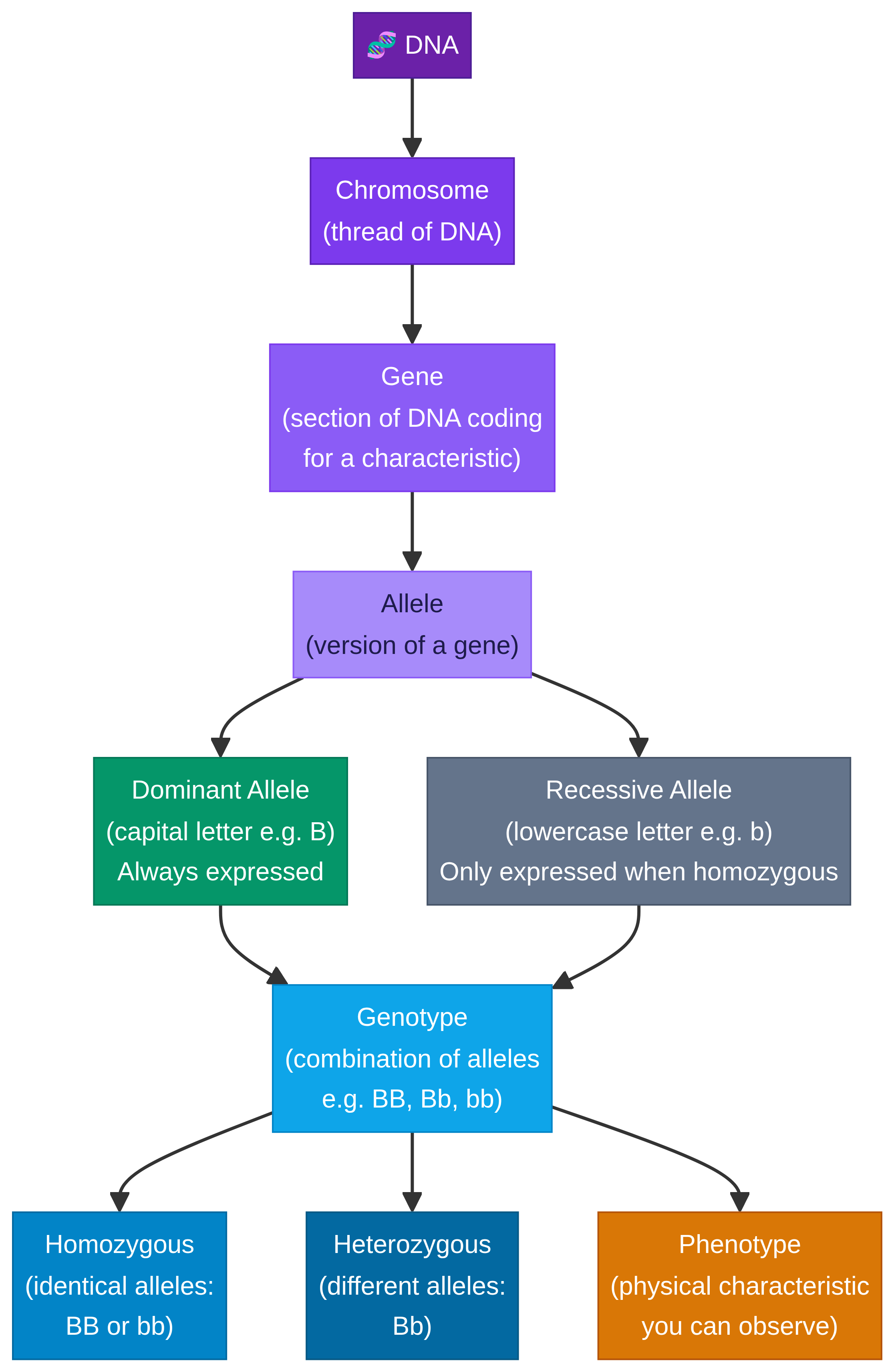 Genetics Terminology Concept Map