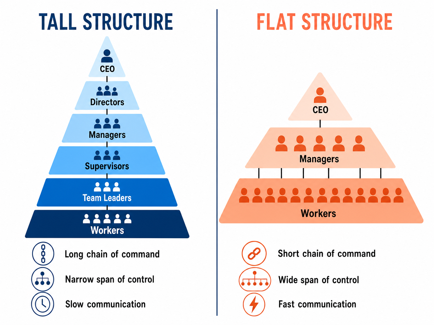 Tall vs Flat Organisational Structures