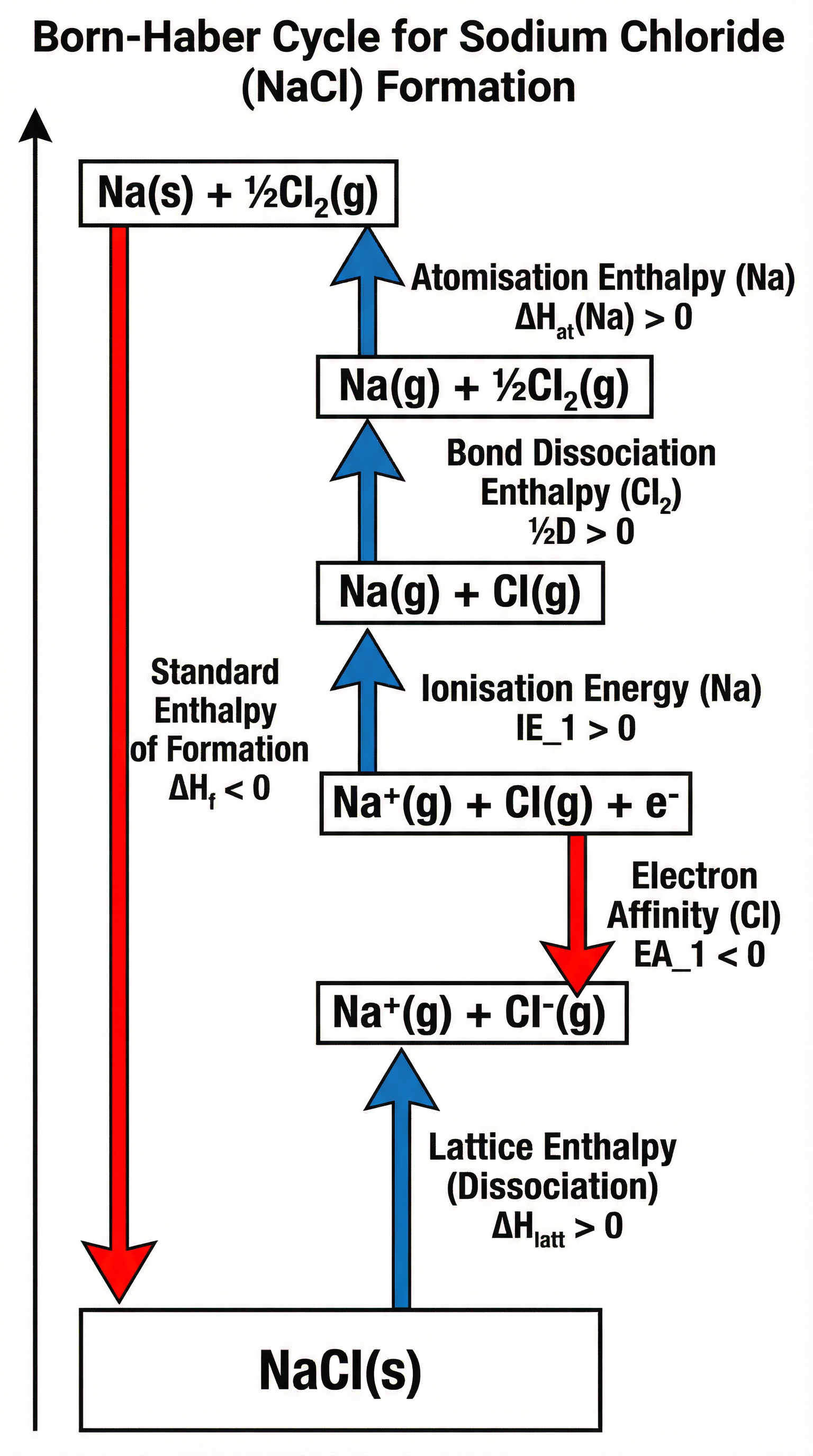 A correctly drawn Born-Haber cycle for NaCl, showing all steps and energy changes.