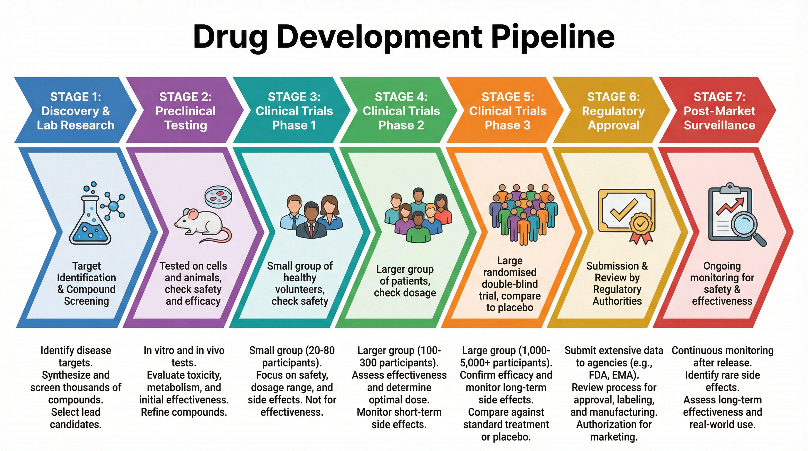 Drug Development Pipeline