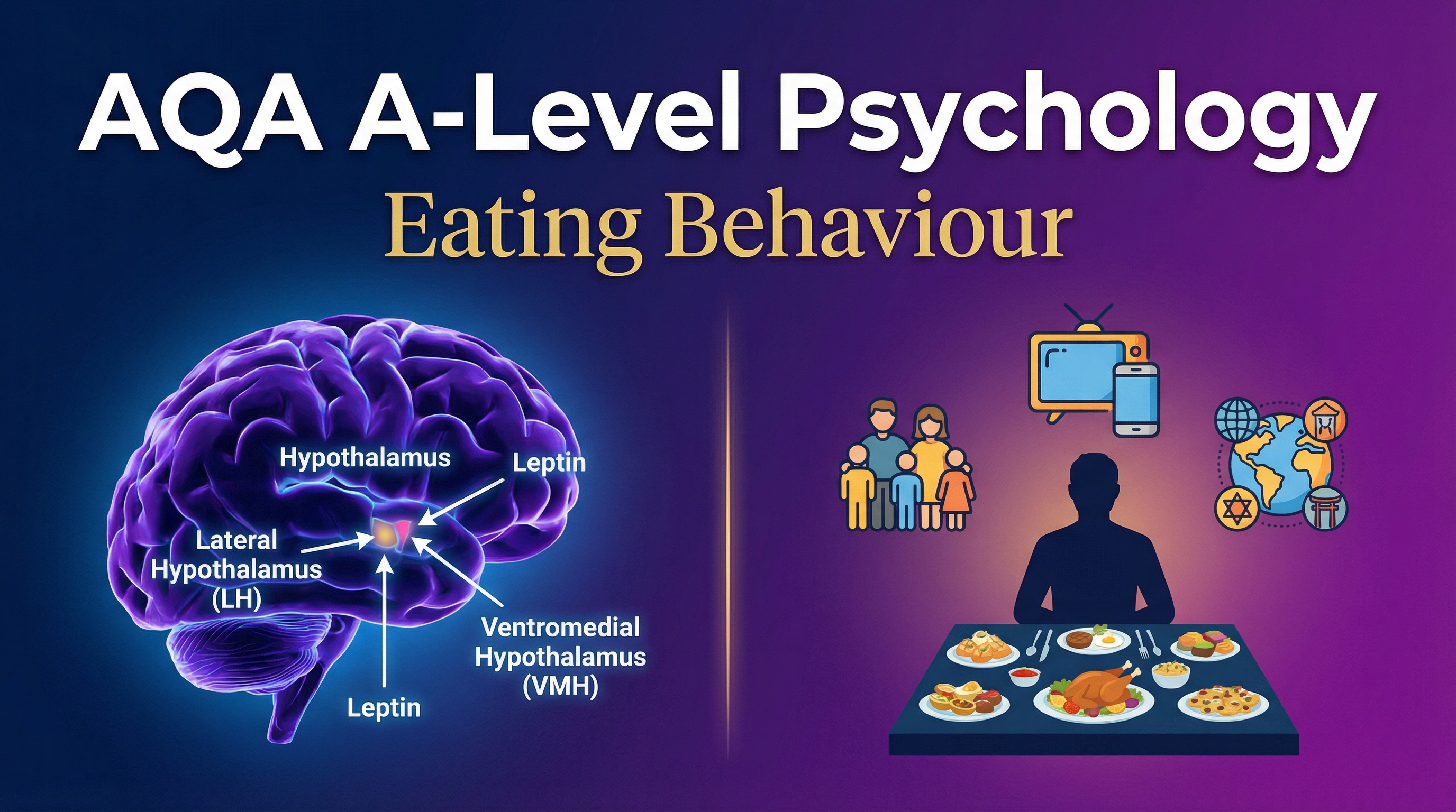 Header image for AQA A-Level Psychology: Eating Behaviour