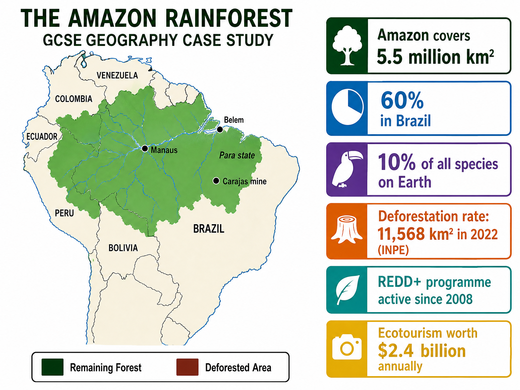 The Amazon Rainforest Case Study