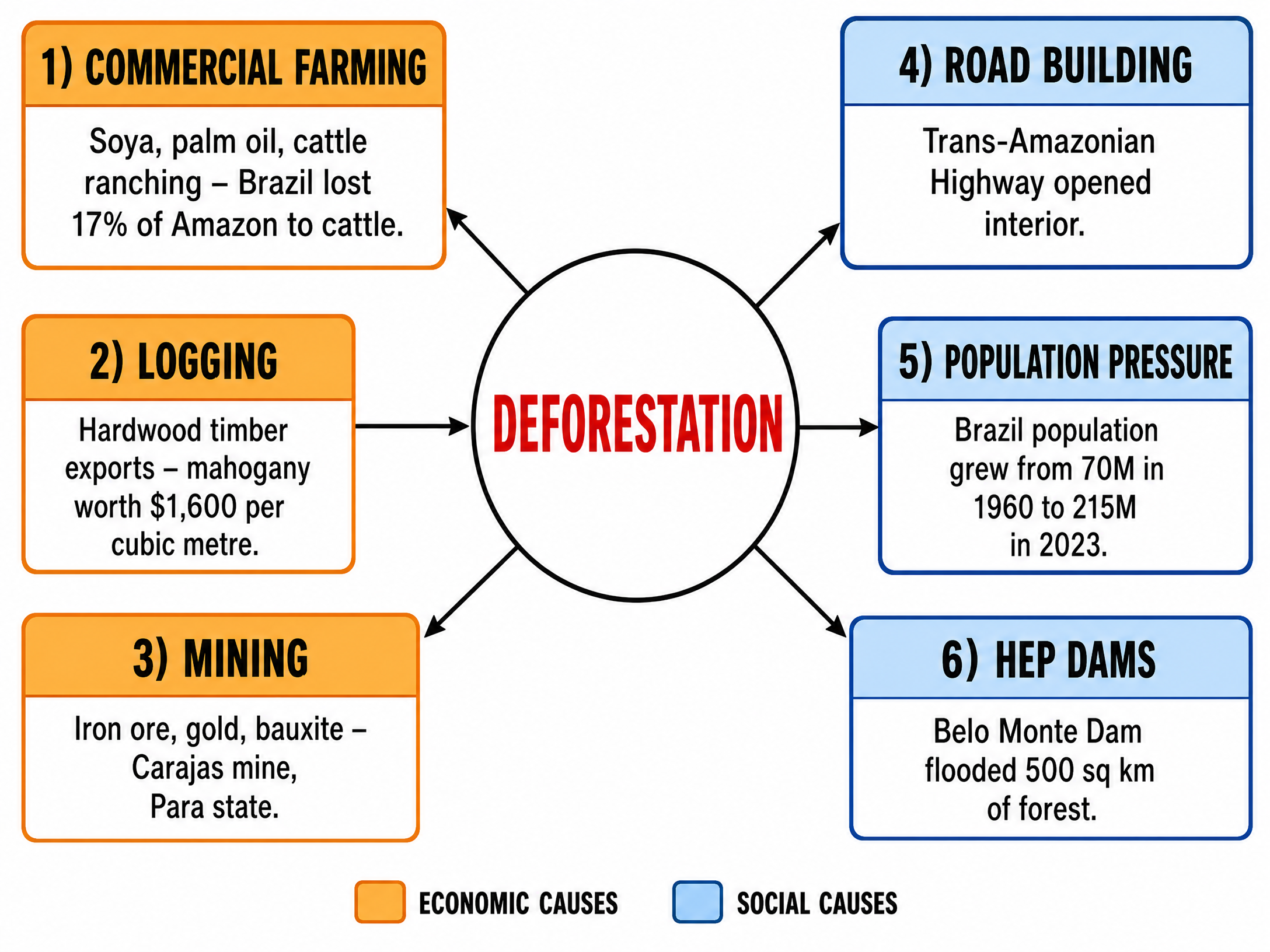 Causes of Deforestation in the Amazon