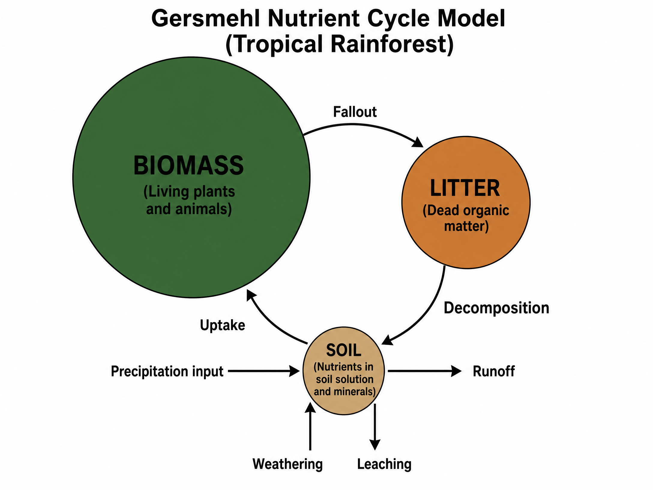{{asset:nutrient_cycle_diagram.png}}
Gersmehl Nutrient Cycle Model in a Tropical Rainforest