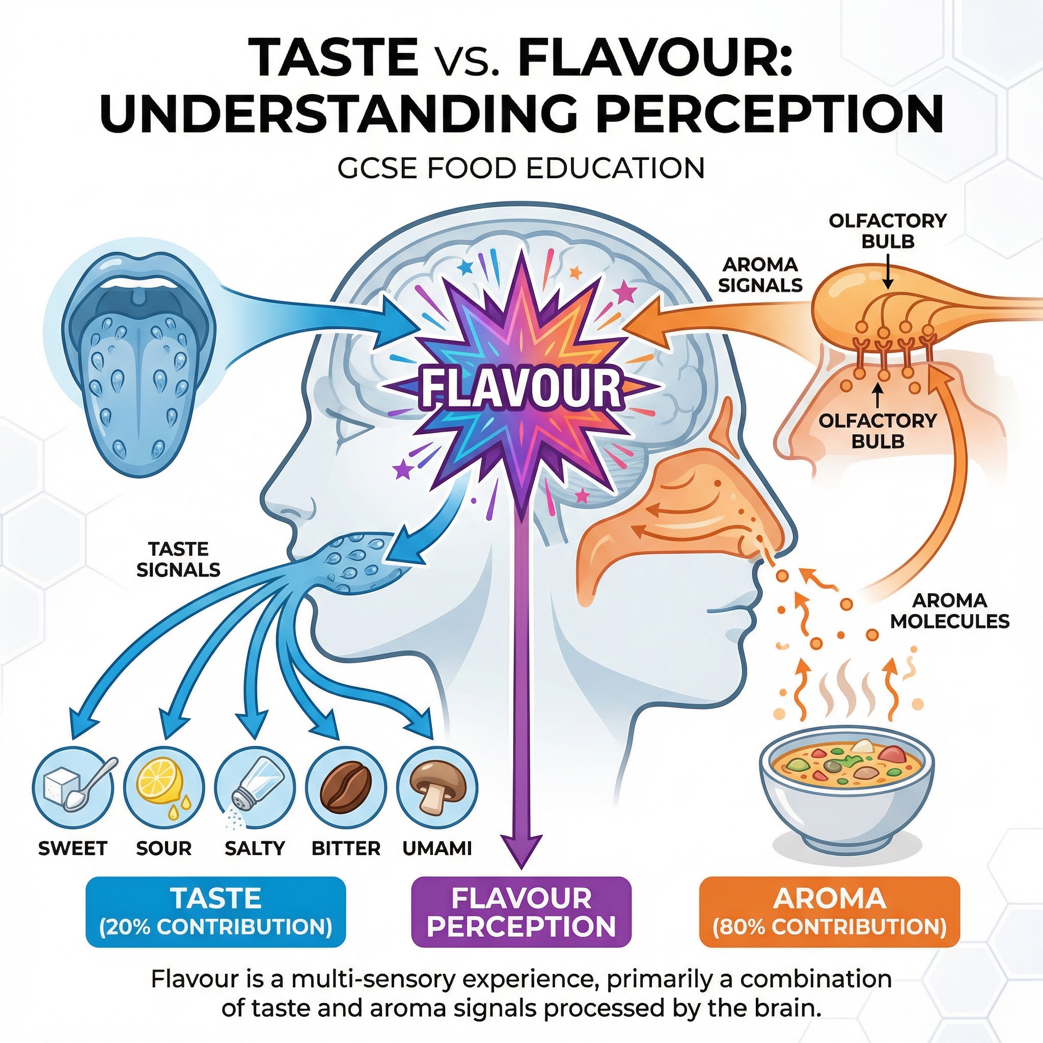Flavour is a multi-sensory experience, with aroma contributing 80% to our perception.
