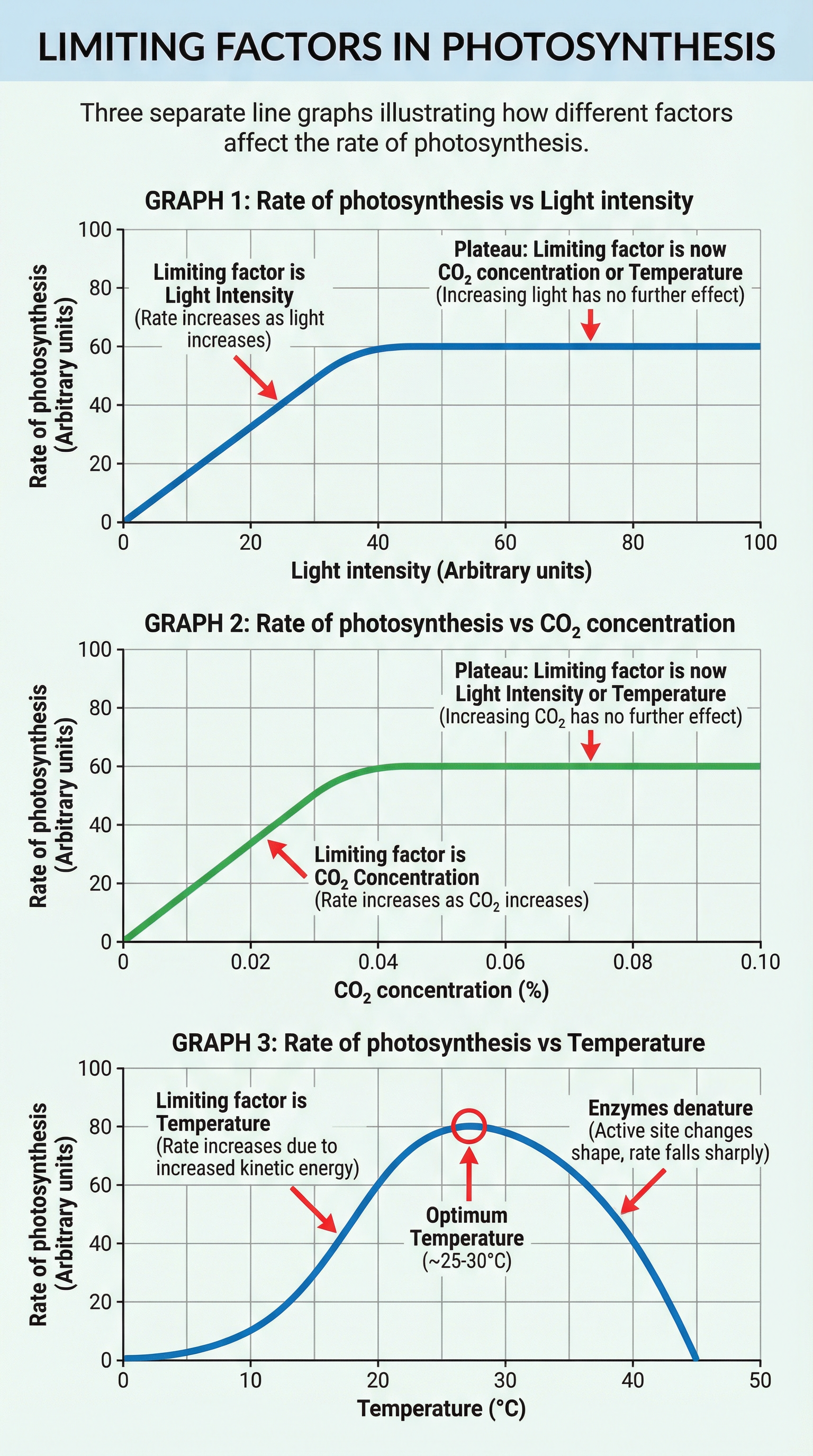 Graphs showing how light, CO₂, and temperature can be limiting factors.