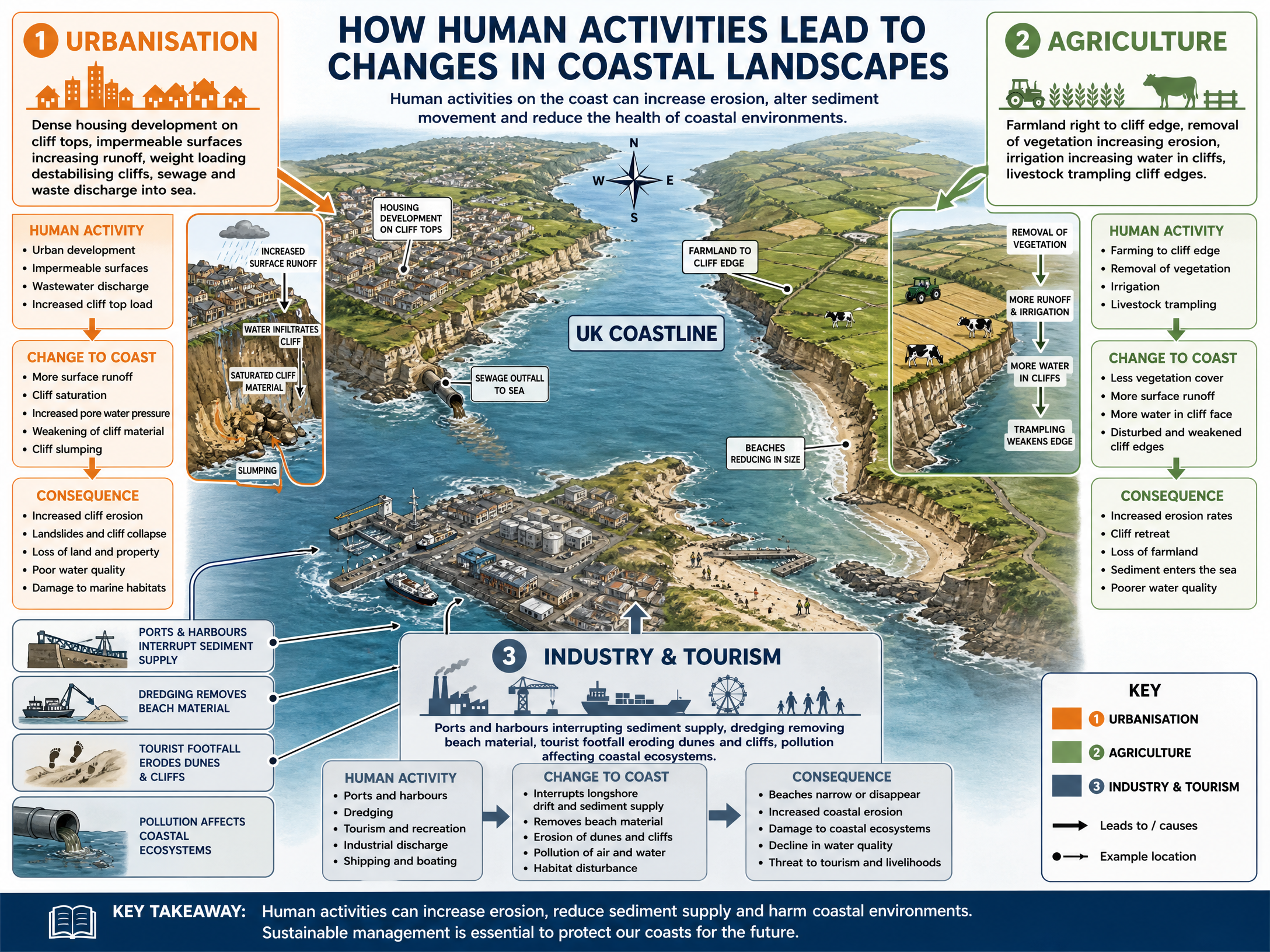 How Human Activities Change the Coast
