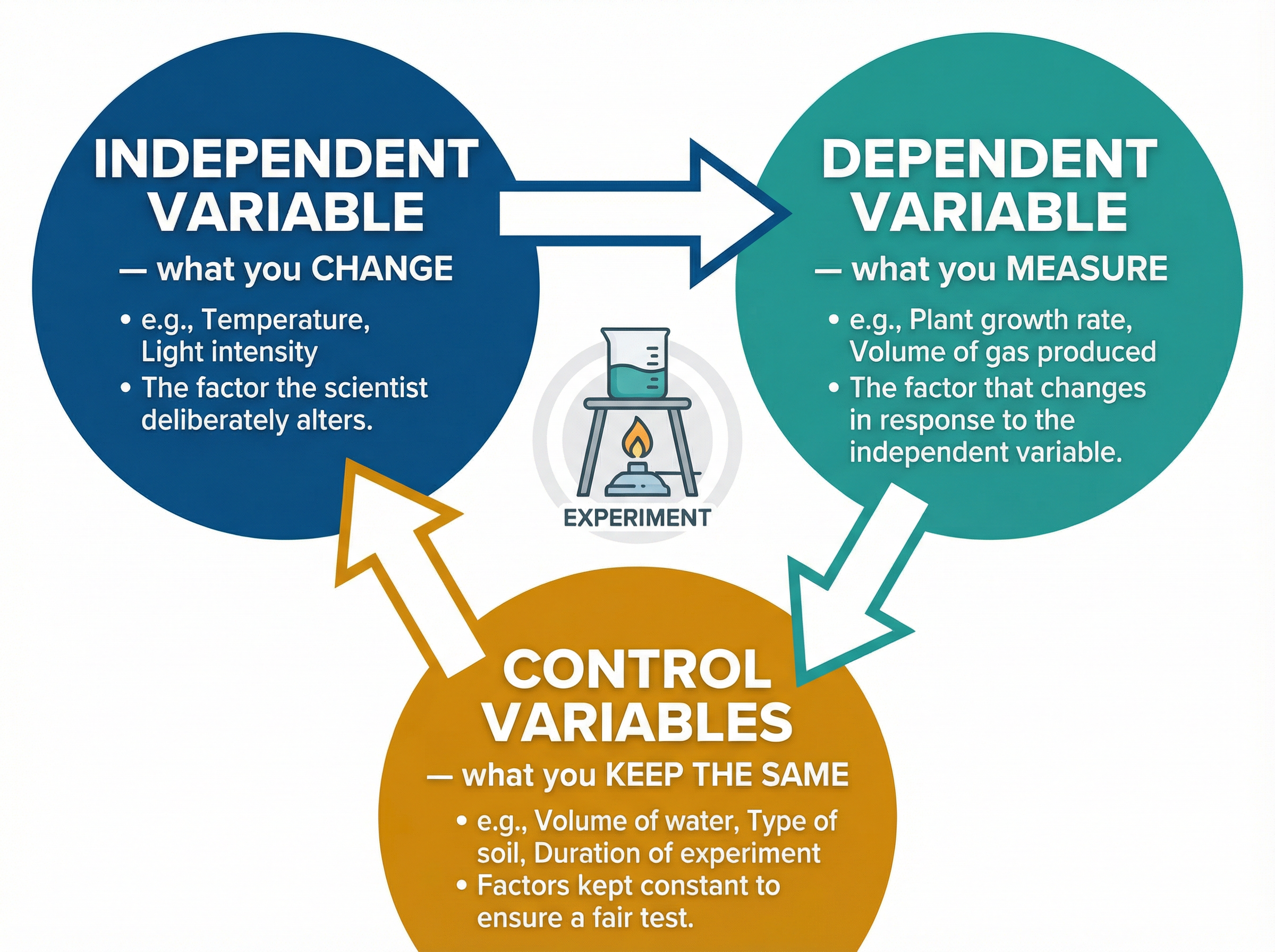 Independent, Dependent, and Control Variables