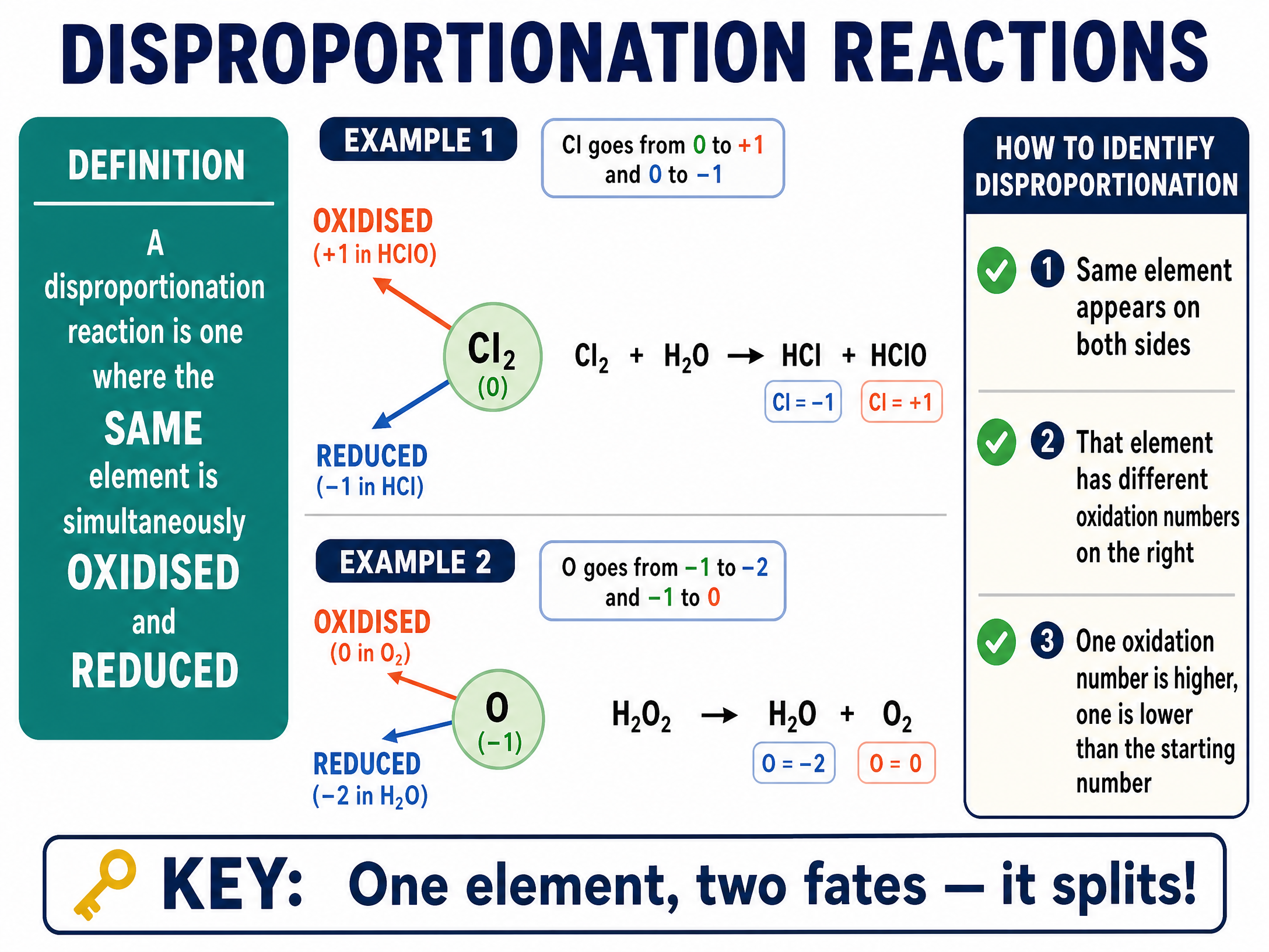 Understanding Disproportionation Reactions