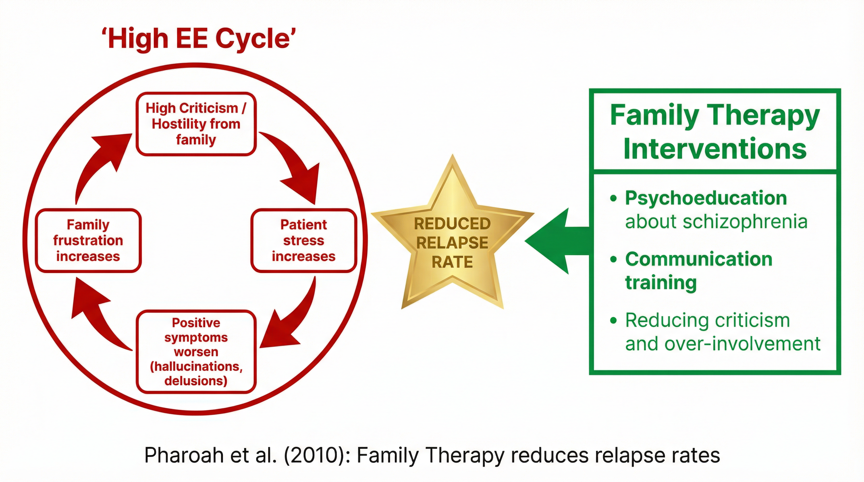 Family Therapy and the High EE Cycle