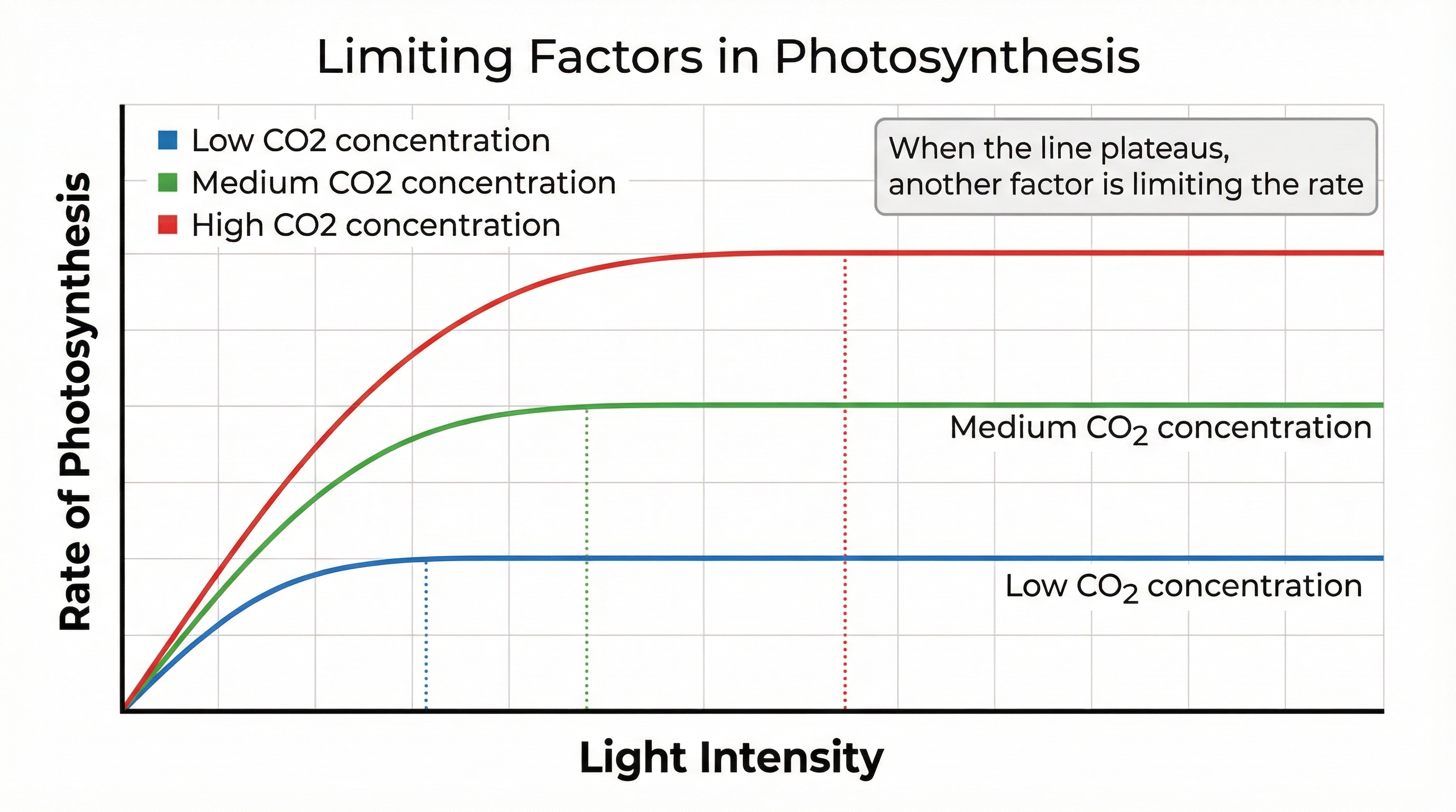 A graph illustrating how the rate of photosynthesis is affected by limiting factors.