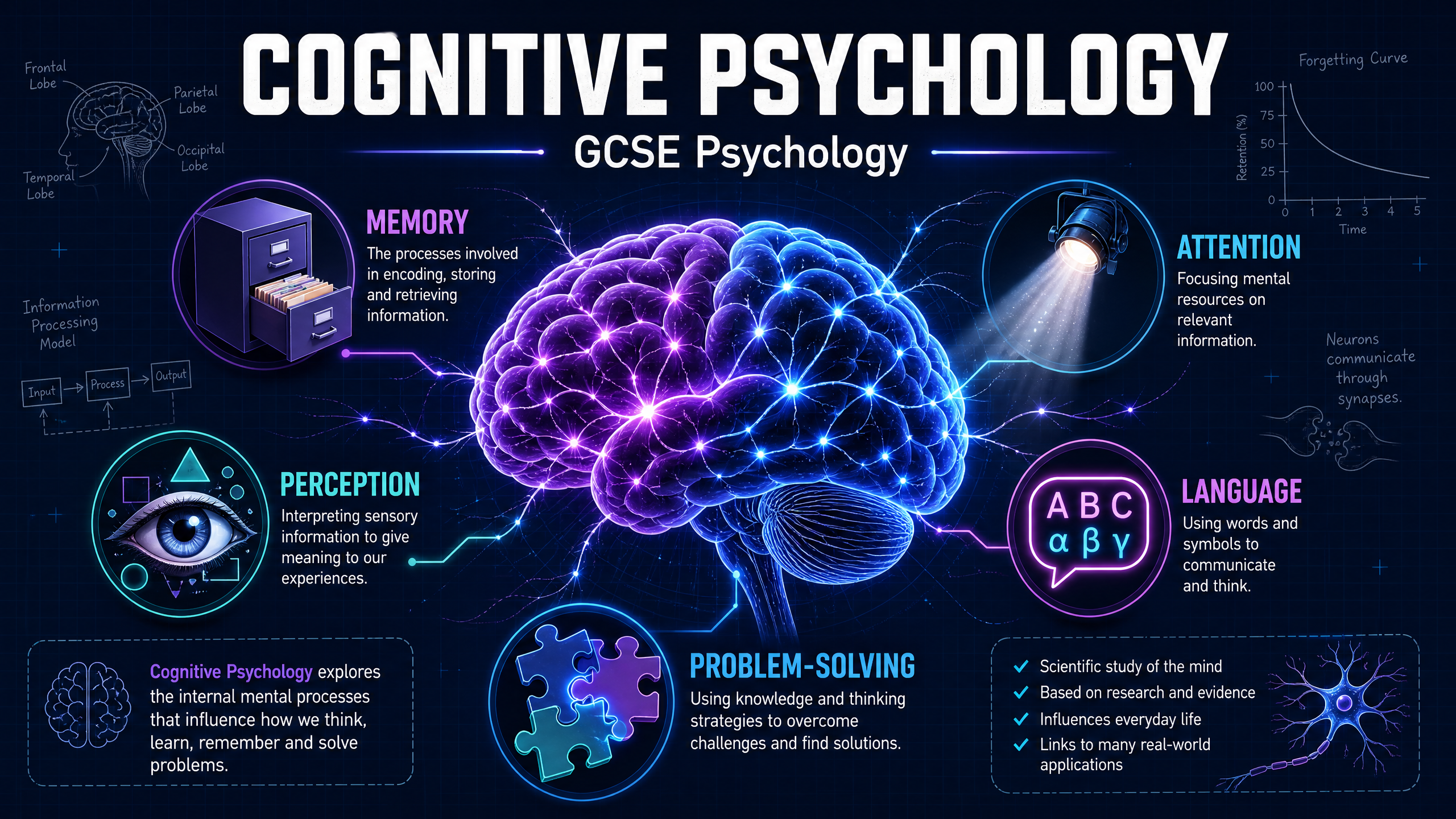 Cognitive Psychology Overview