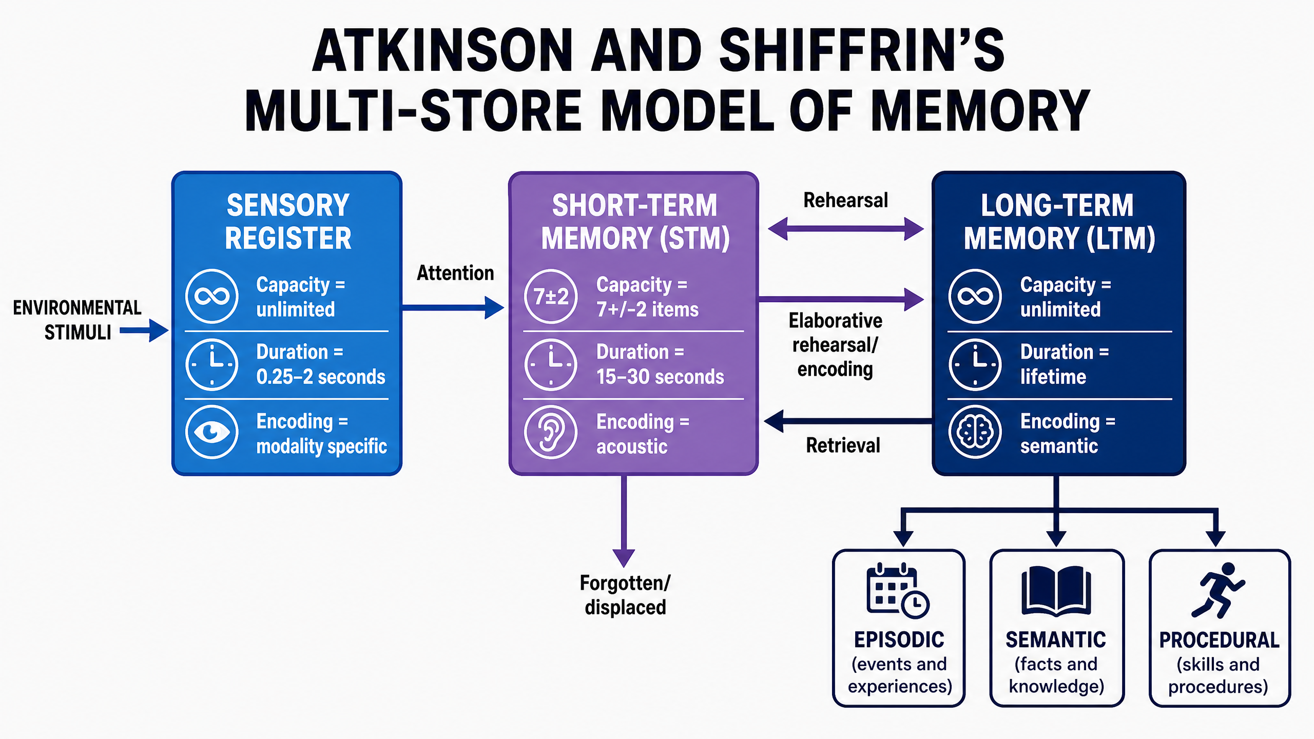 Atkinson & Shiffrin's Multi-Store Model (1968)