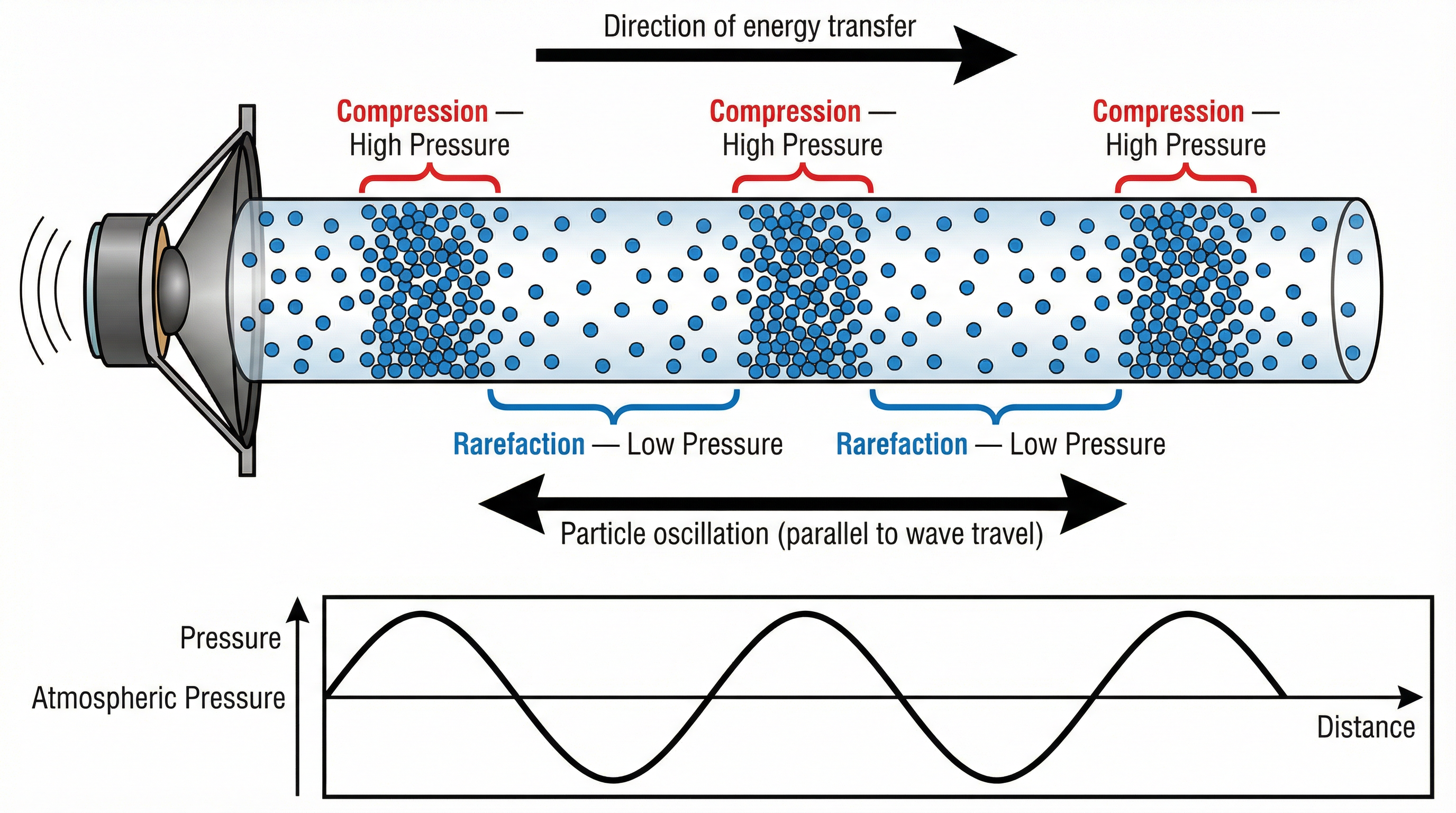 The structure of a longitudinal sound wave, showing compressions and rarefactions.