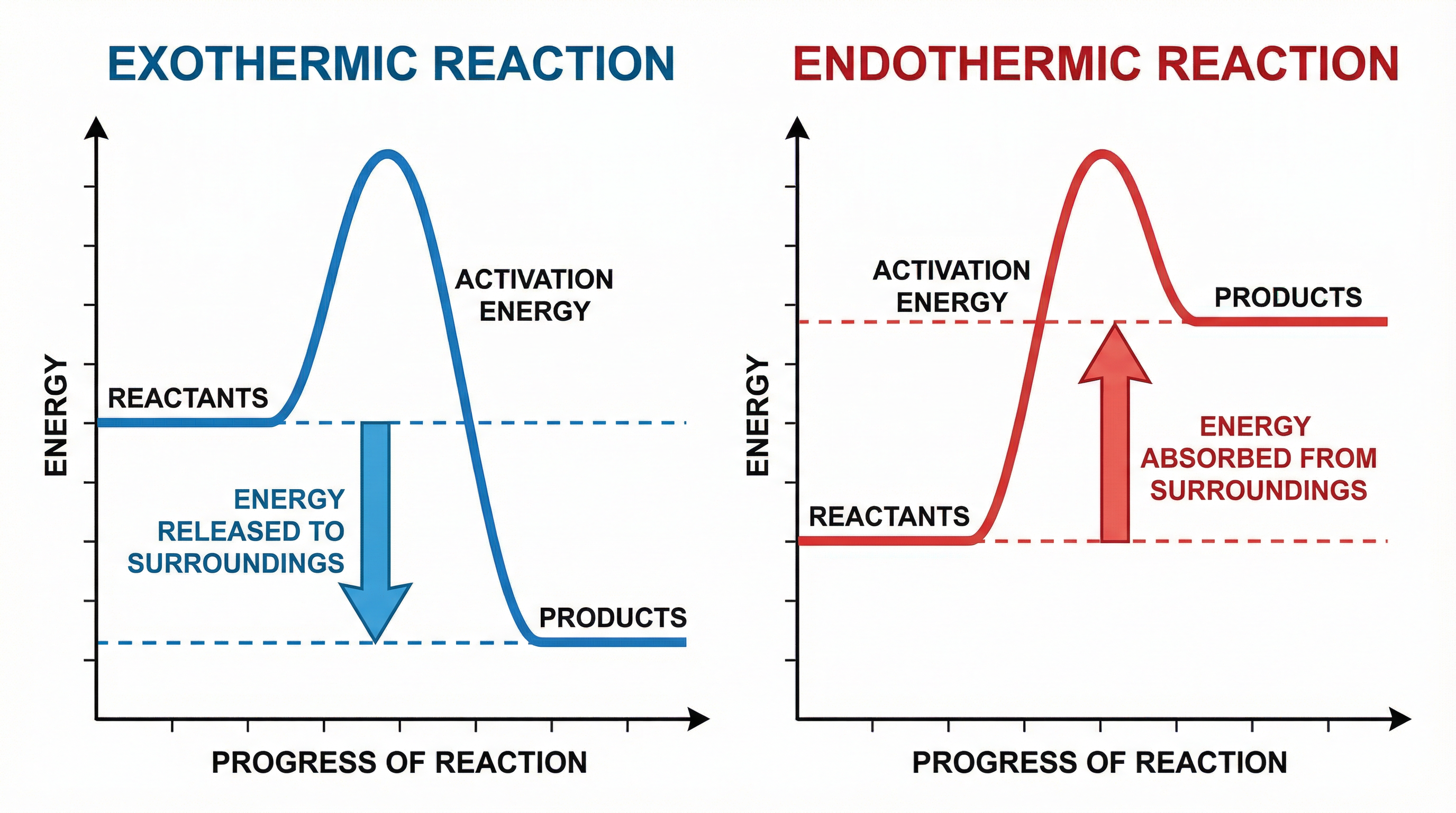 Reaction profiles for exothermic and endothermic reactions