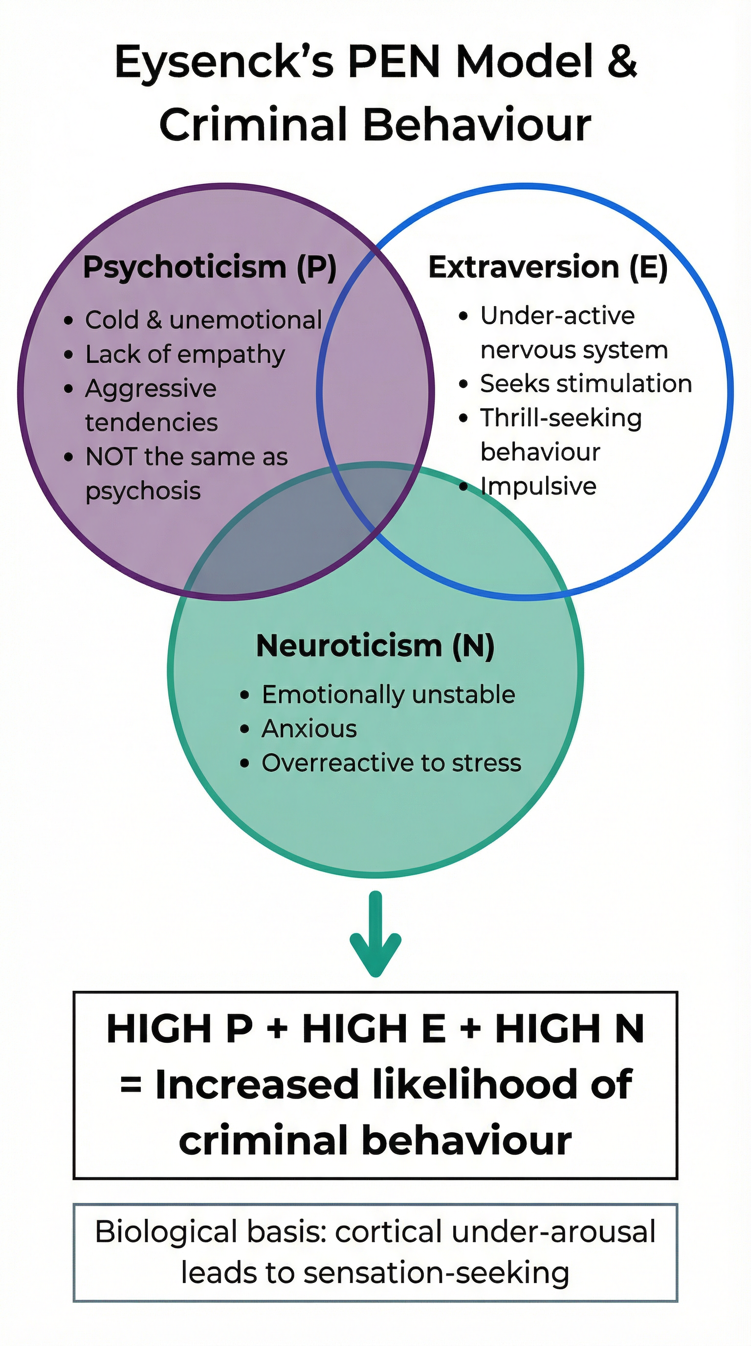 Diagram of Eysenck's PEN Model