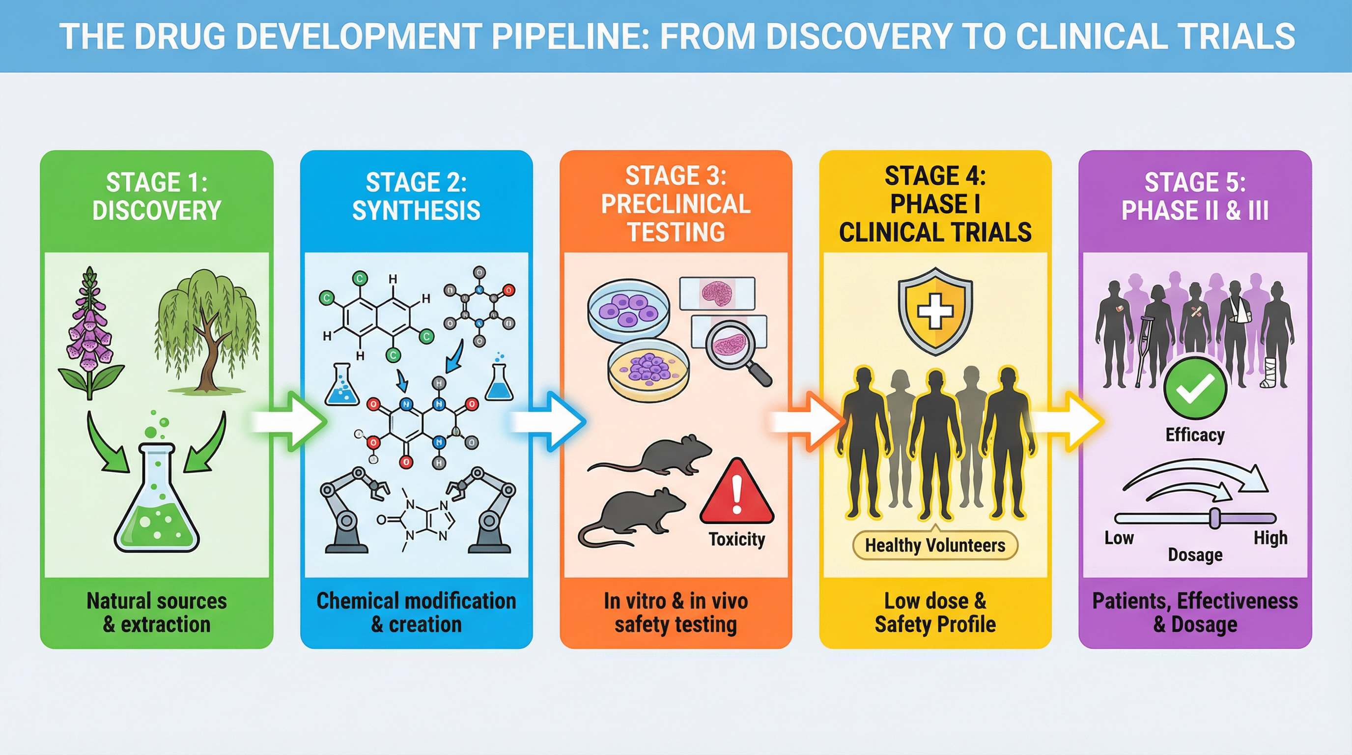 drug_development_stages.png