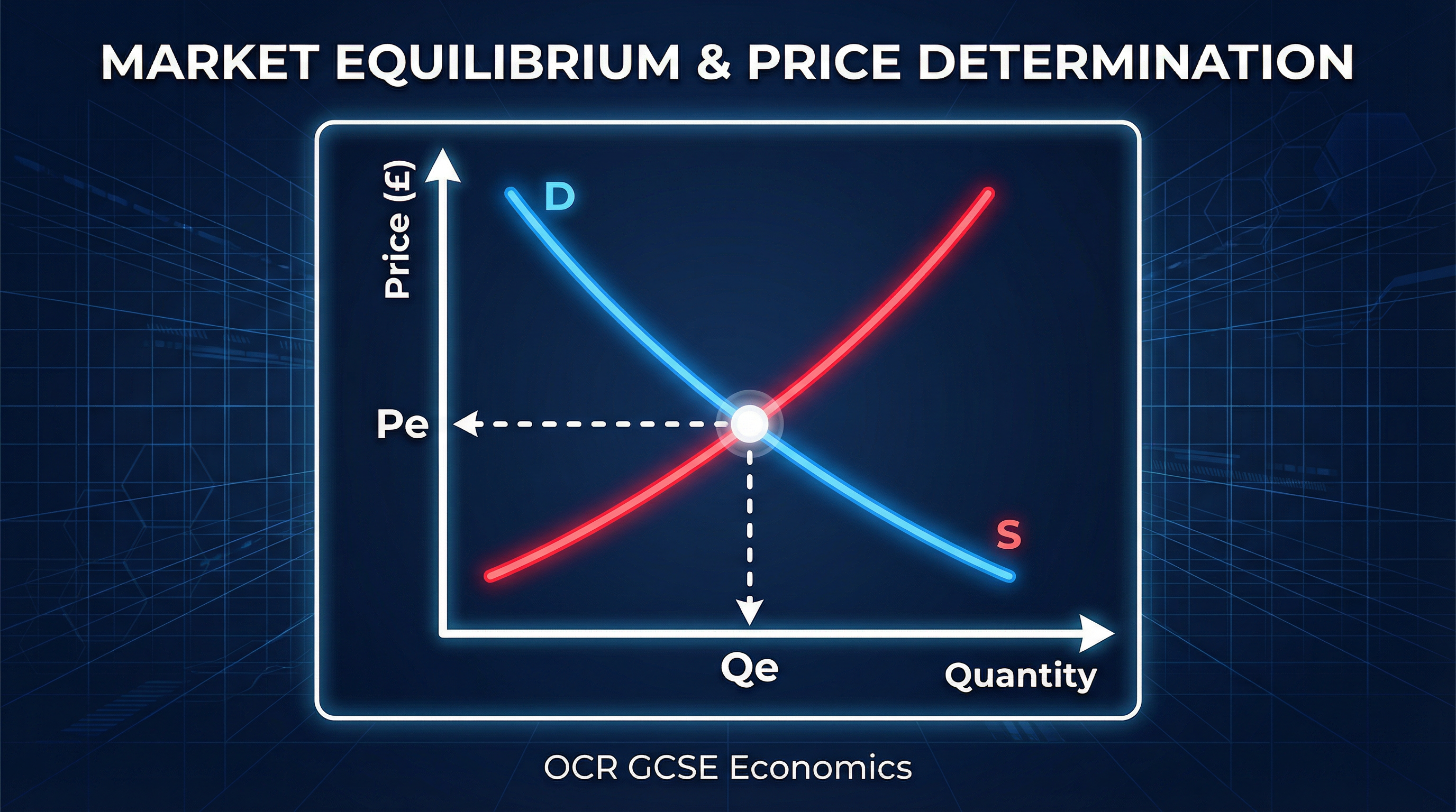 Header image for Market Equilibrium and Price Determination