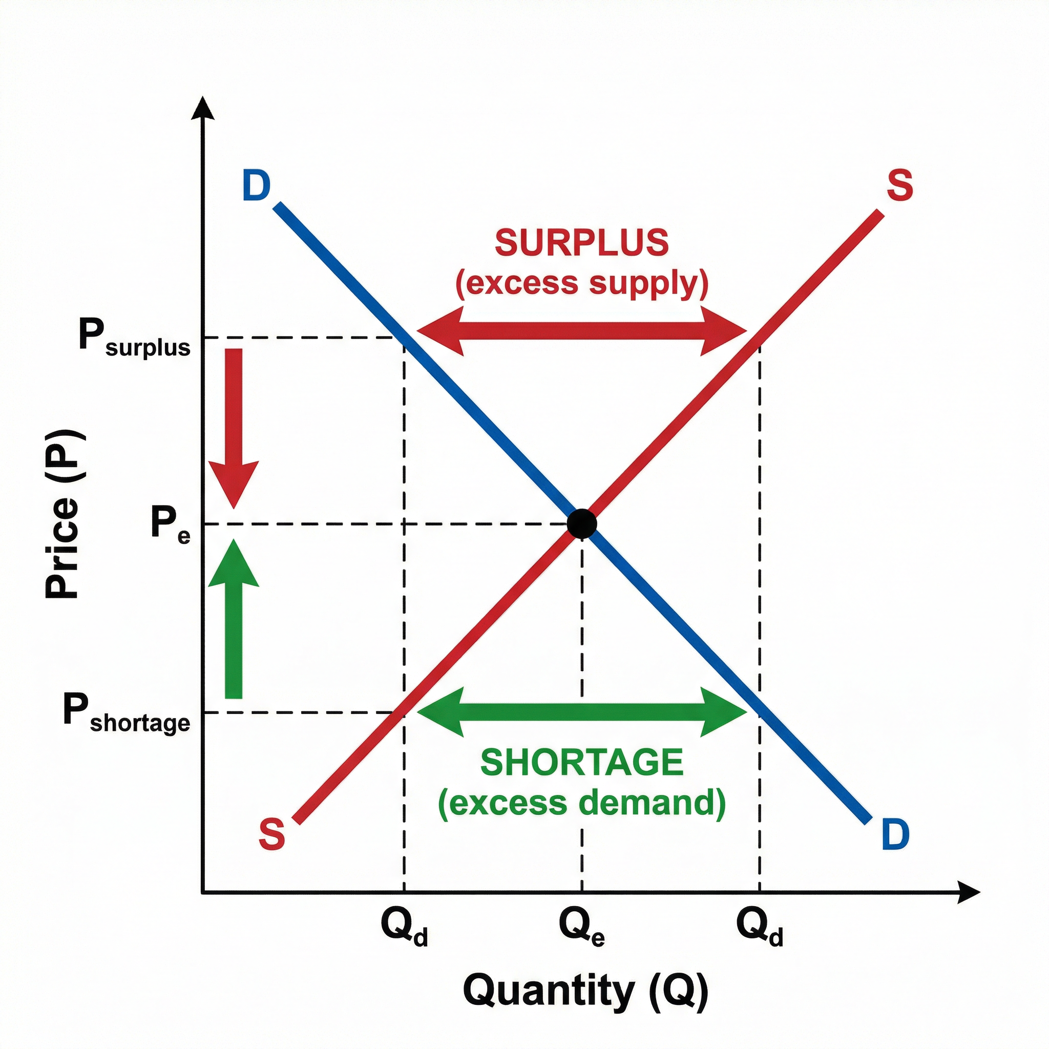 Disequilibrium: Shortages and Surpluses