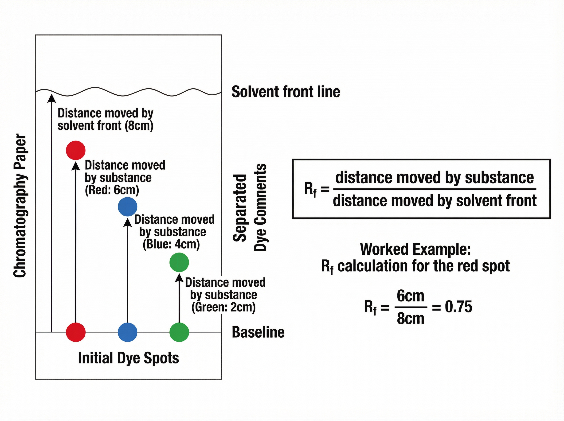 Paper Chromatography and Rf Calculation
