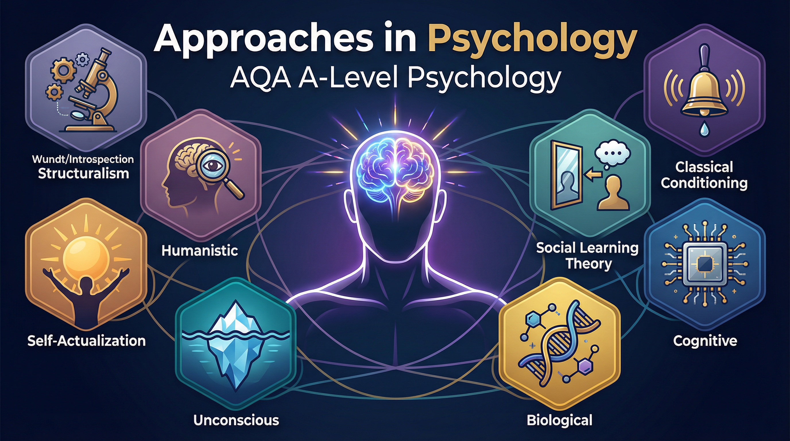Header image for AQA A-Level Psychology: Approaches in Psychology