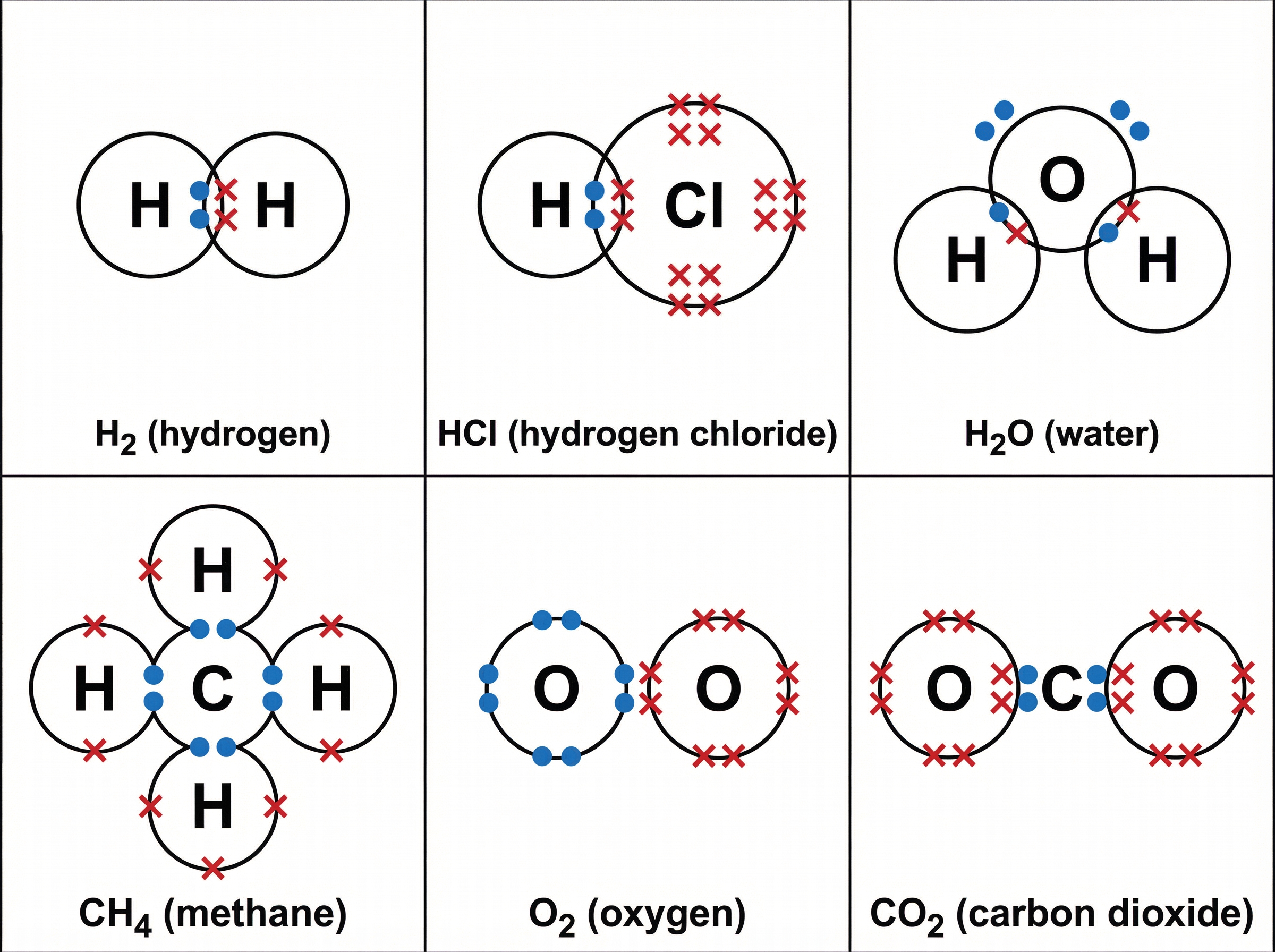 Standard dot and cross diagrams for key molecules.